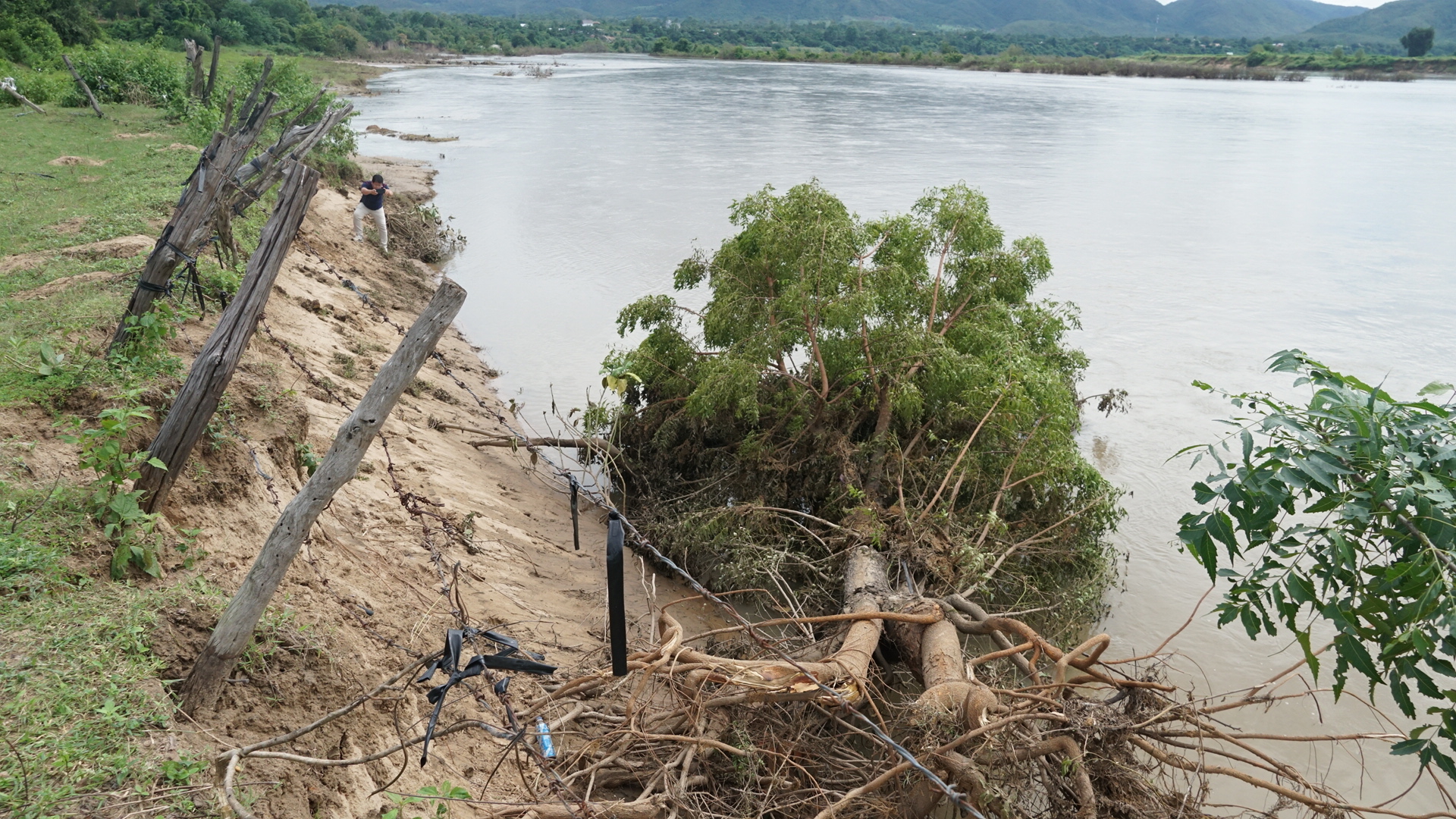 Toàn cảnh sạt lở bờ sông Ba cuốn trôi 100ha đất, hơn 3.500 người dân Gia Lai bị ảnh hưởng- Ảnh 2. Toàn cảnh sạt lở bờ sông Ba cuốn trôi 100ha đất, hơn 3.500 người dân Gia Lai bị ảnh hưởng- Ảnh 2.
