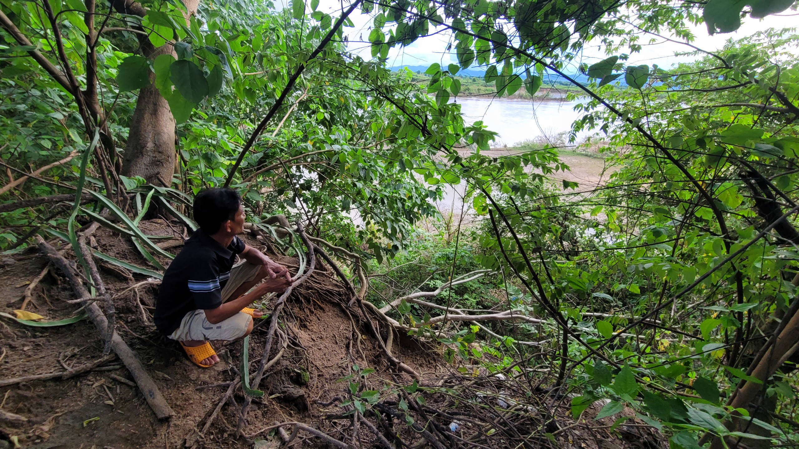 Toàn cảnh sạt lở bờ sông Ba cuốn trôi 100ha đất, hơn 3.500 người dân Gia Lai bị ảnh hưởng- Ảnh 10. Toàn cảnh sạt lở bờ sông Ba cuốn trôi 100ha đất, hơn 3.500 người dân Gia Lai bị ảnh hưởng- Ảnh 10.