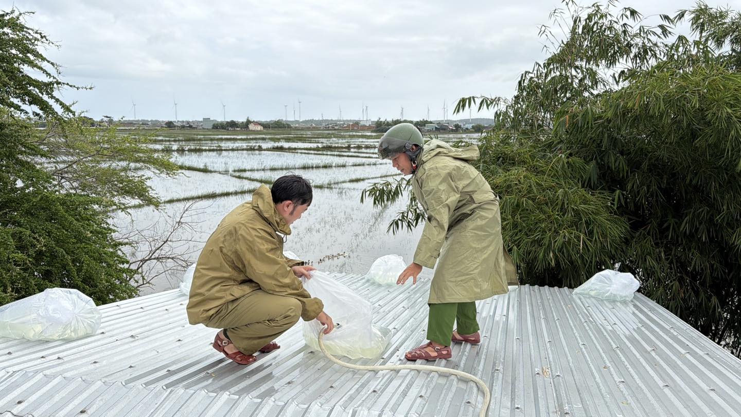 Công an Gia Lai di dời, chằng chống nhà cửa giúp dân chống bão- Ảnh 5.
