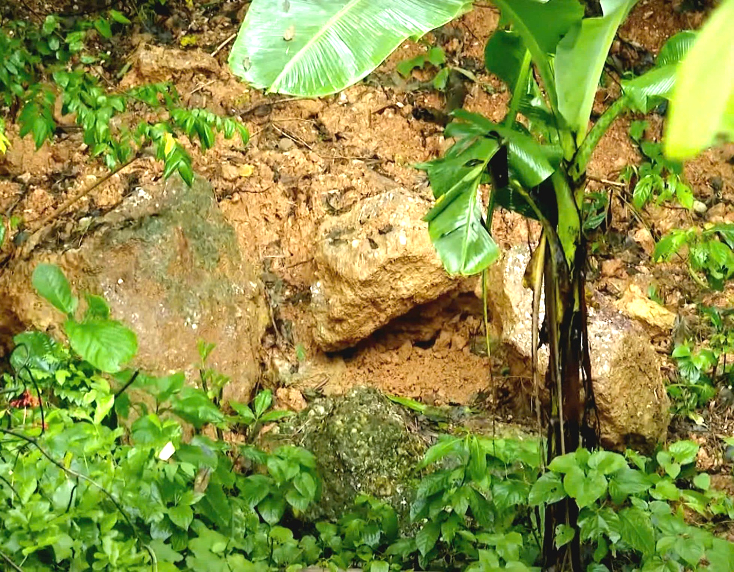 Nghệ An: Cần sớm triển khai giải pháp chống sạt lở tại núi Thành- Ảnh 3. Nghệ An: Cần sớm triển khai giải pháp chống sạt lở tại núi Thành- Ảnh 3.