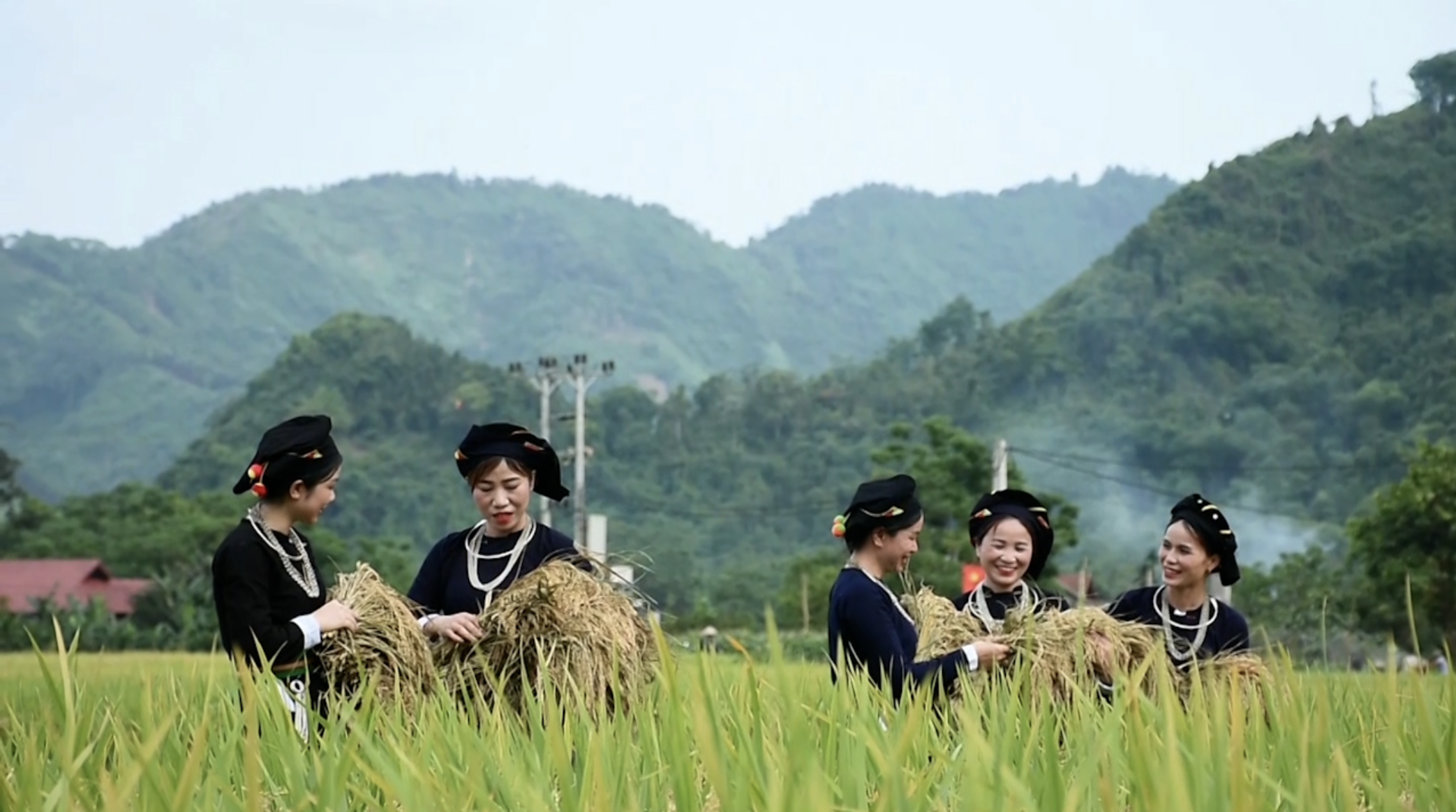 Lào Cai: Phát triển du lịch cộng đồng từ nền tảng nông nghiệp xanh ở vùng đất mây trắng- Ảnh 2. Lào Cai: Phát triển du lịch cộng đồng từ nền tảng nông nghiệp xanh ở vùng đất mây trắng- Ảnh 2.