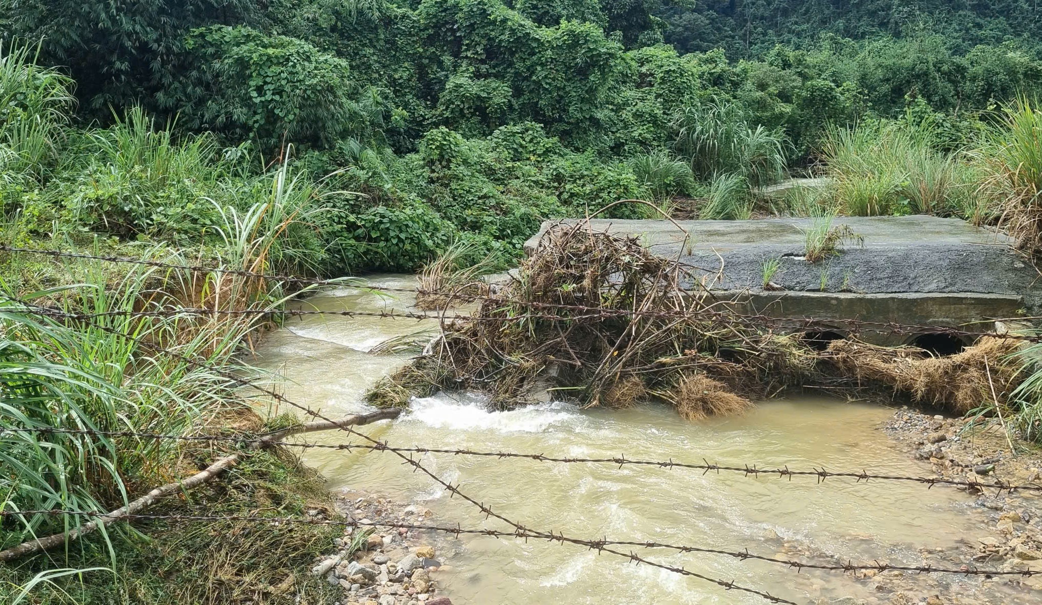Toàn cảnh tuyến đường lên đỉnh Bạch Mã sạt lở nghiêm trọng, cuốn trôi chốt bảo vệ- Ảnh 12. Toàn cảnh tuyến đường lên đỉnh Bạch Mã sạt lở nghiêm trọng, cuốn trôi chốt bảo vệ- Ảnh 12.