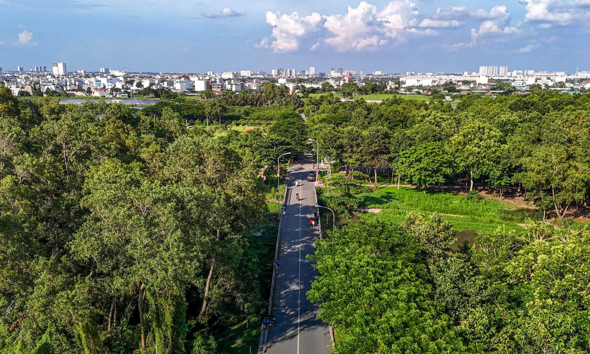 TP.HCM triển khai Nghị định 258/2025 về quản lý công viên, cây xanh và mặt nước- Ảnh 1. TP.HCM triển khai Nghị định 258/2025 về quản lý công viên, cây xanh và mặt nước- Ảnh 1.