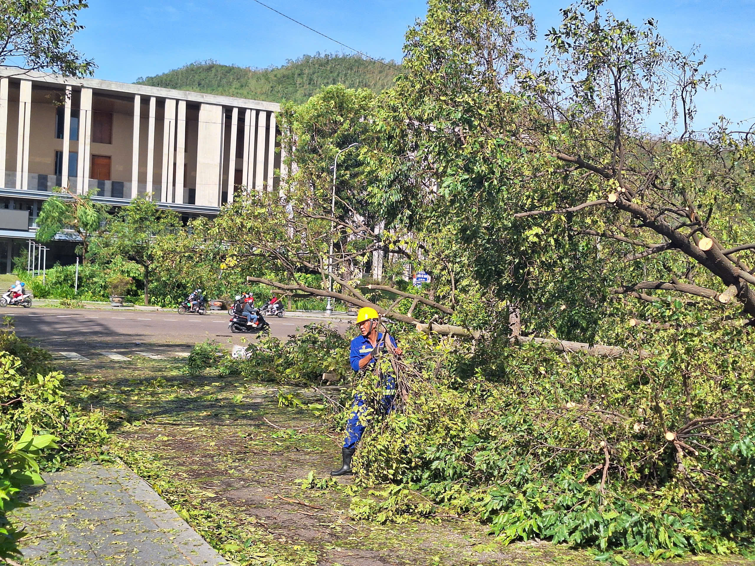 Bão số 13: Gia Lai thiệt hại hơn 5.000 tỷ đồng, 2 người tử vong- Ảnh 21. Bão số 13: Gia Lai thiệt hại hơn 5.000 tỷ đồng, 2 người tử vong- Ảnh 21.