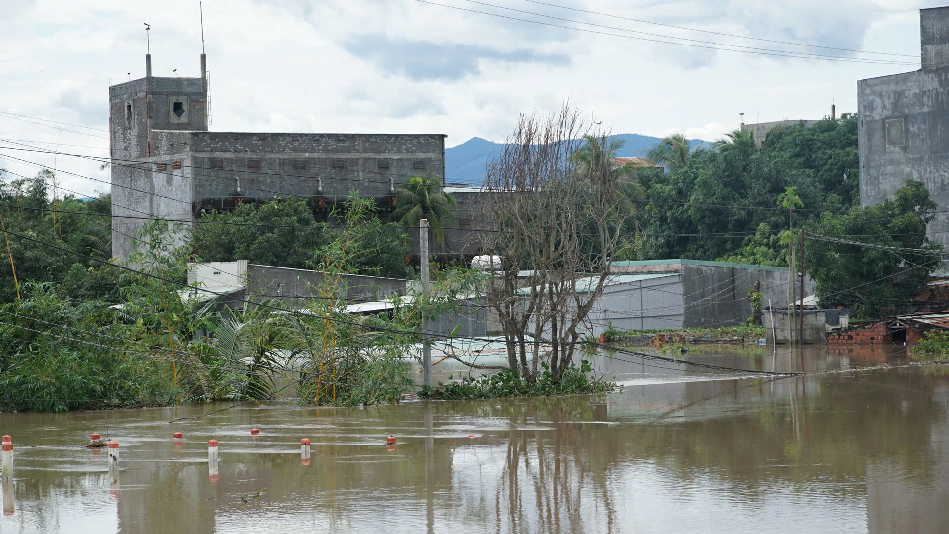 Bão số 13: Gia Lai thiệt hại hơn 5.000 tỷ đồng, 2 người tử vong- Ảnh 15. Bão số 13: Gia Lai thiệt hại hơn 5.000 tỷ đồng, 2 người tử vong- Ảnh 15.