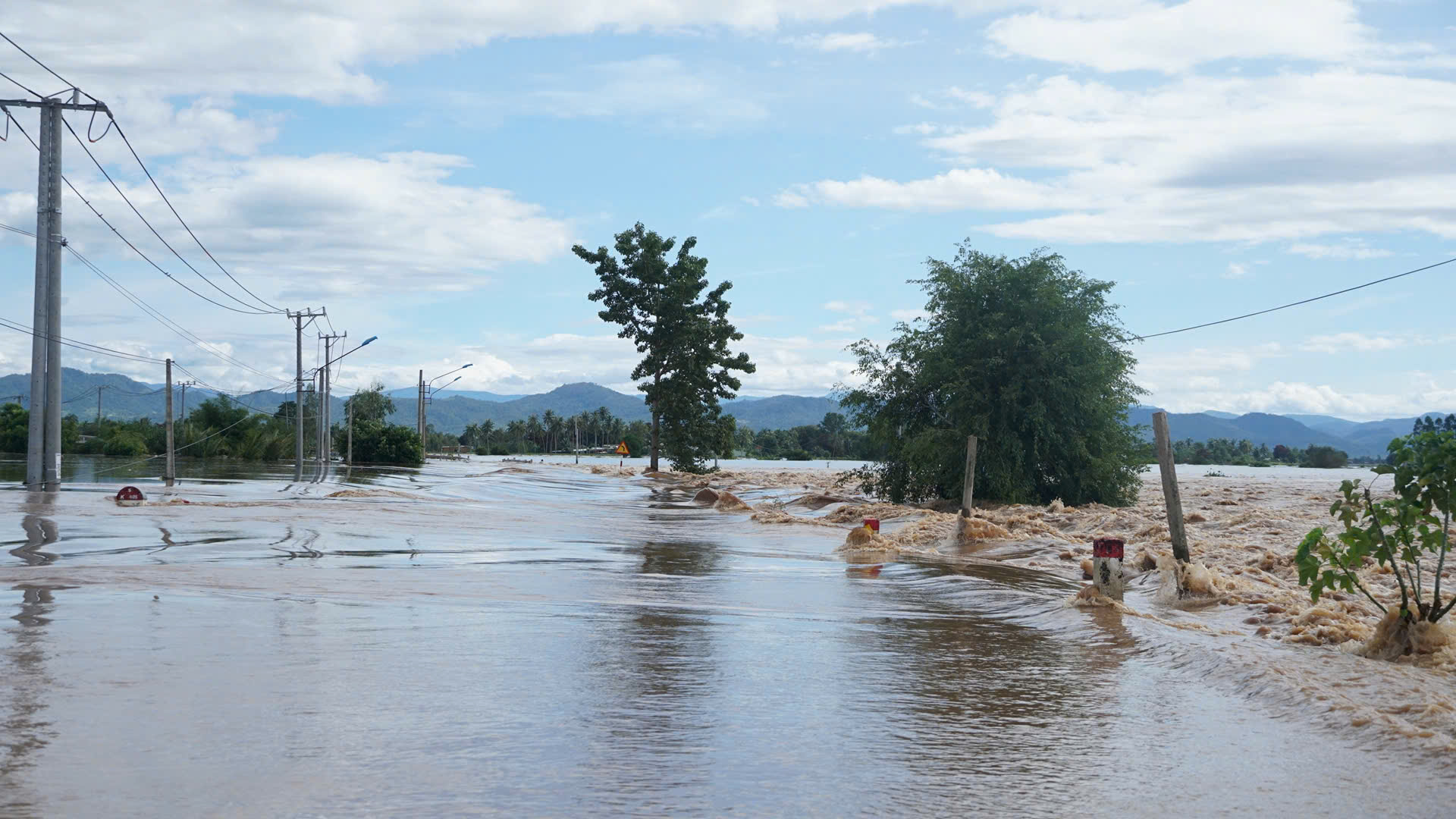 Bão số 13: Gia Lai thiệt hại hơn 5.000 tỷ đồng, 2 người tử vong- Ảnh 10. Bão số 13: Gia Lai thiệt hại hơn 5.000 tỷ đồng, 2 người tử vong- Ảnh 10.