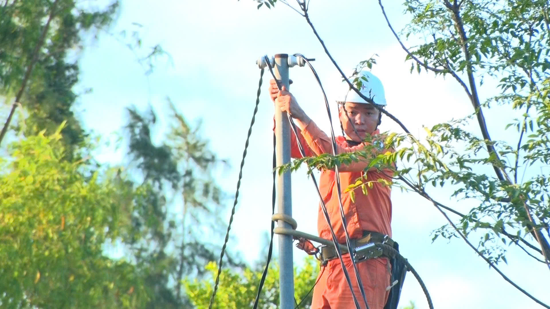 Điểm sáng trong phong trào xây dựng nông thôn mới tại Đà Nẵng- Ảnh 3. Điểm sáng trong phong trào xây dựng nông thôn mới tại Đà Nẵng- Ảnh 3.