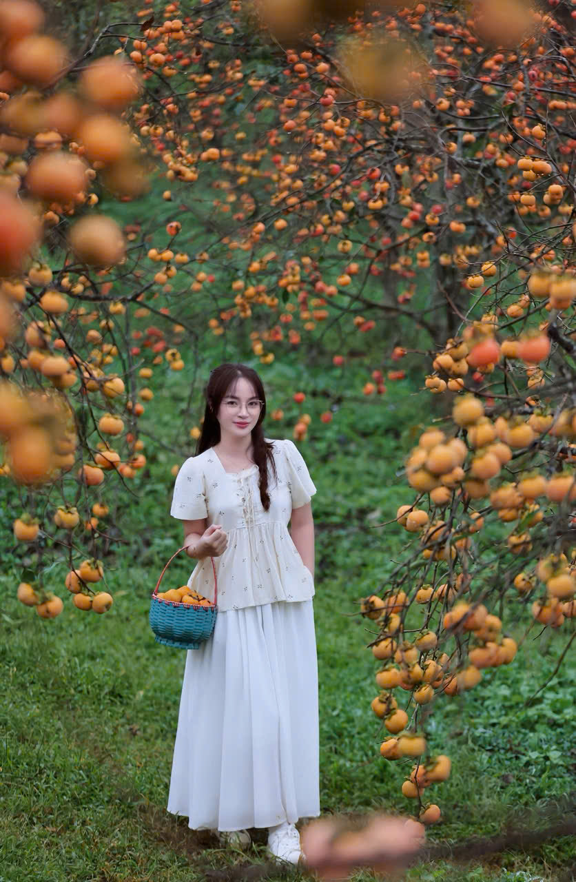 Du khách "săn" ảnh đẹp ở vườn hồng trên cao nguyên Mộc Châu- Ảnh 5.