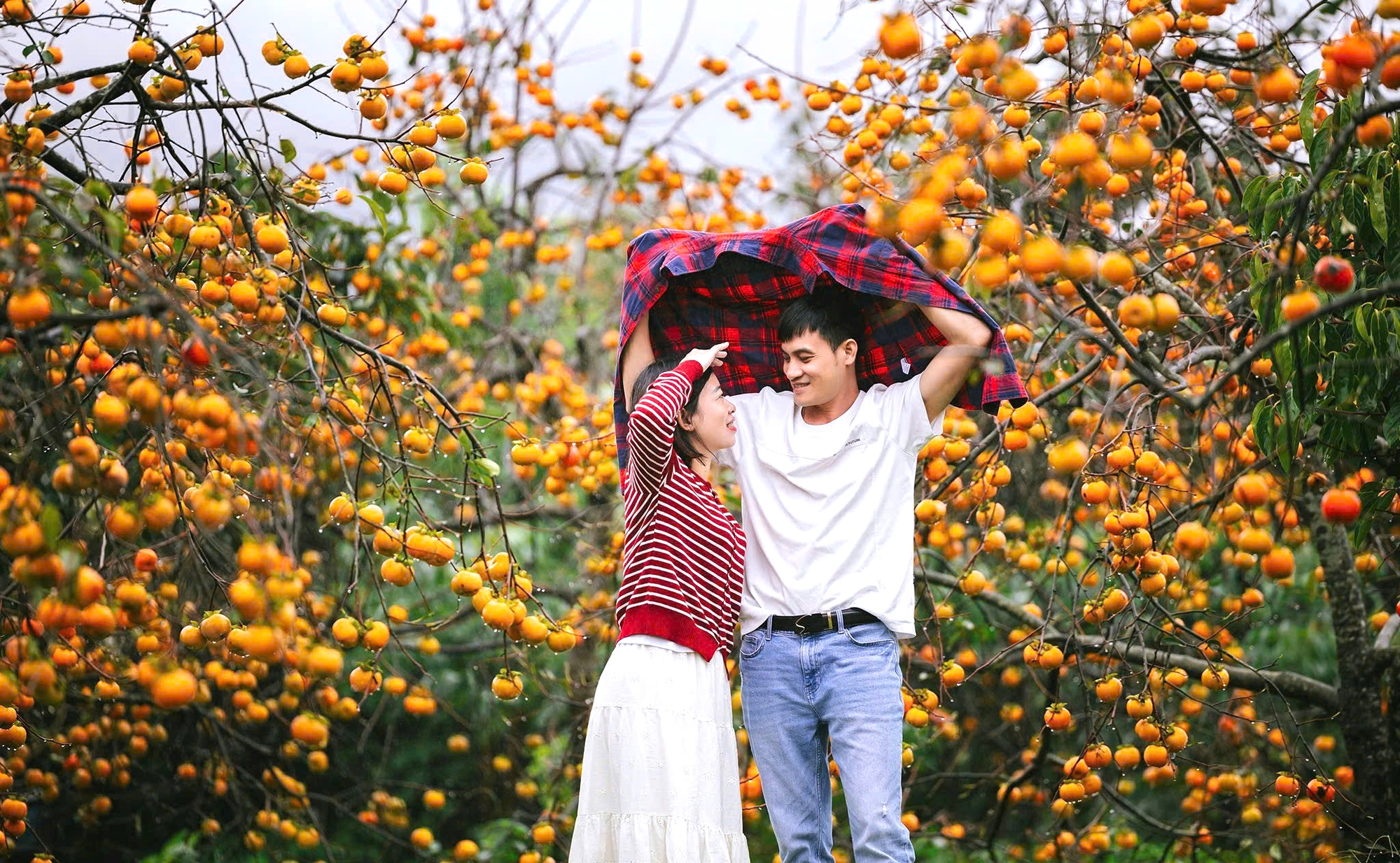 Du khách "săn" ảnh đẹp ở vườn hồng trên cao nguyên Mộc Châu- Ảnh 8.