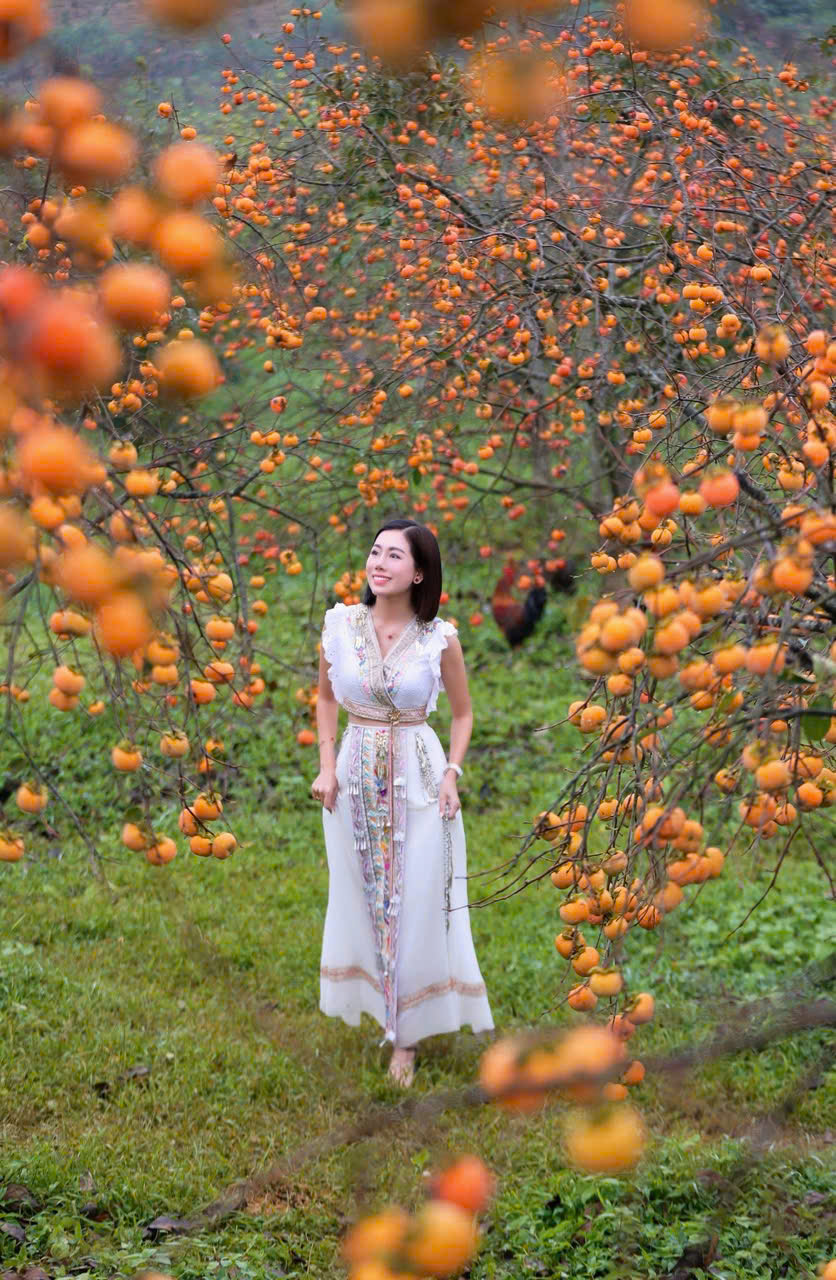 Du khách "săn" ảnh đẹp ở vườn hồng trên cao nguyên Mộc Châu- Ảnh 7.