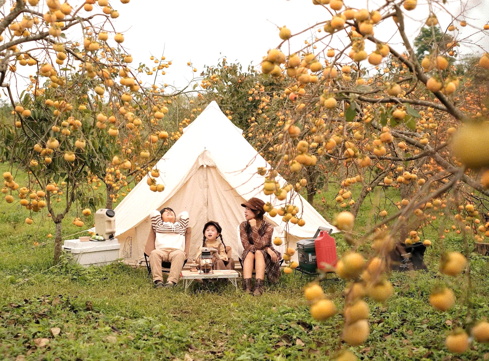 Du khách "săn" ảnh đẹp ở vườn hồng trên cao nguyên Mộc Châu- Ảnh 9.