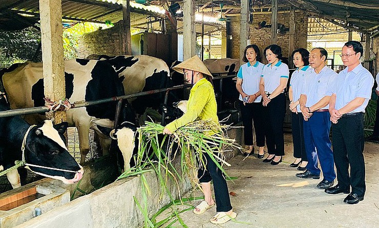 Hà Nội: Xã Suối Hai tăng tốc về đích nông thôn mới nâng cao- Ảnh 1.