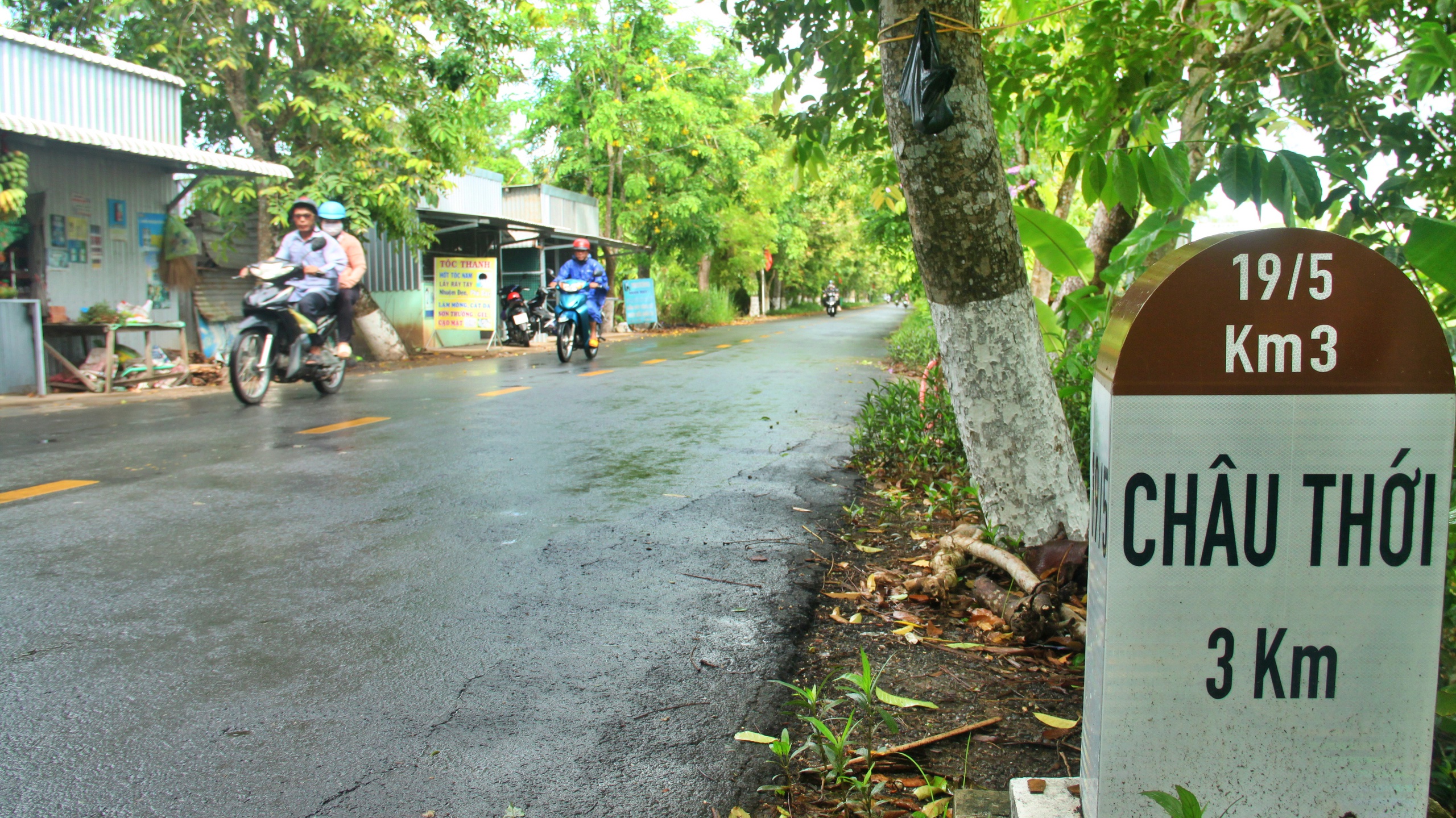 Cà Mau: Chăm lo phát triển hạ tầng, nâng cao đời sống người dân xã an toàn khu- Ảnh 3. Cà Mau: Chăm lo phát triển hạ tầng, nâng cao đời sống người dân xã an toàn khu- Ảnh 3.
