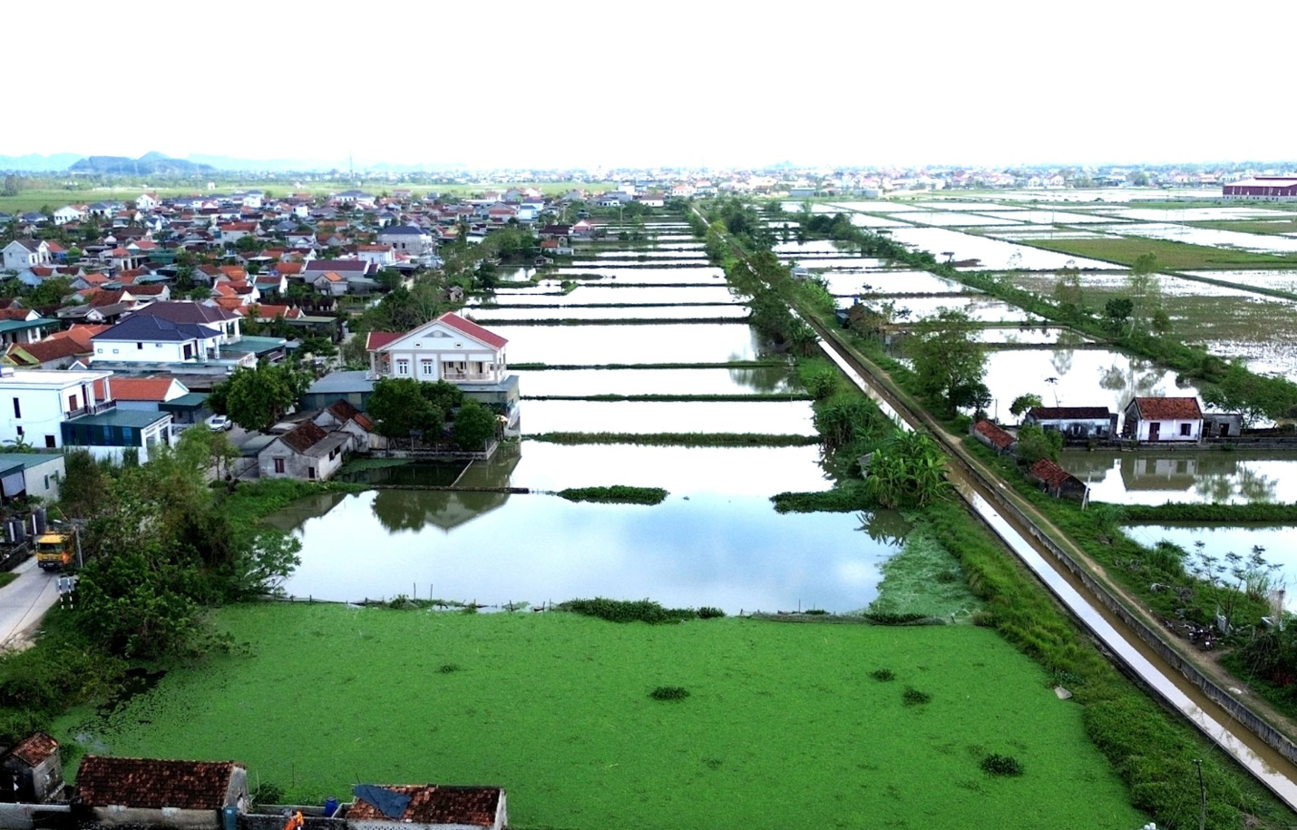 Nghệ An: Sẽ hoàn thành bàn giao đất tái định cư dự án đường sắt tốc độ cao tháng 6/2026- Ảnh 3. Nghệ An: Sẽ hoàn thành bàn giao đất tái định cư dự án đường sắt tốc độ cao tháng 6/2026- Ảnh 3.