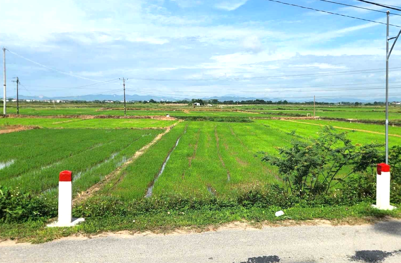 Nghệ An: Sẽ hoàn thành bàn giao đất tái định cư dự án đường sắt tốc độ cao tháng 6/2026- Ảnh 4. Nghệ An: Sẽ hoàn thành bàn giao đất tái định cư dự án đường sắt tốc độ cao tháng 6/2026- Ảnh 4.