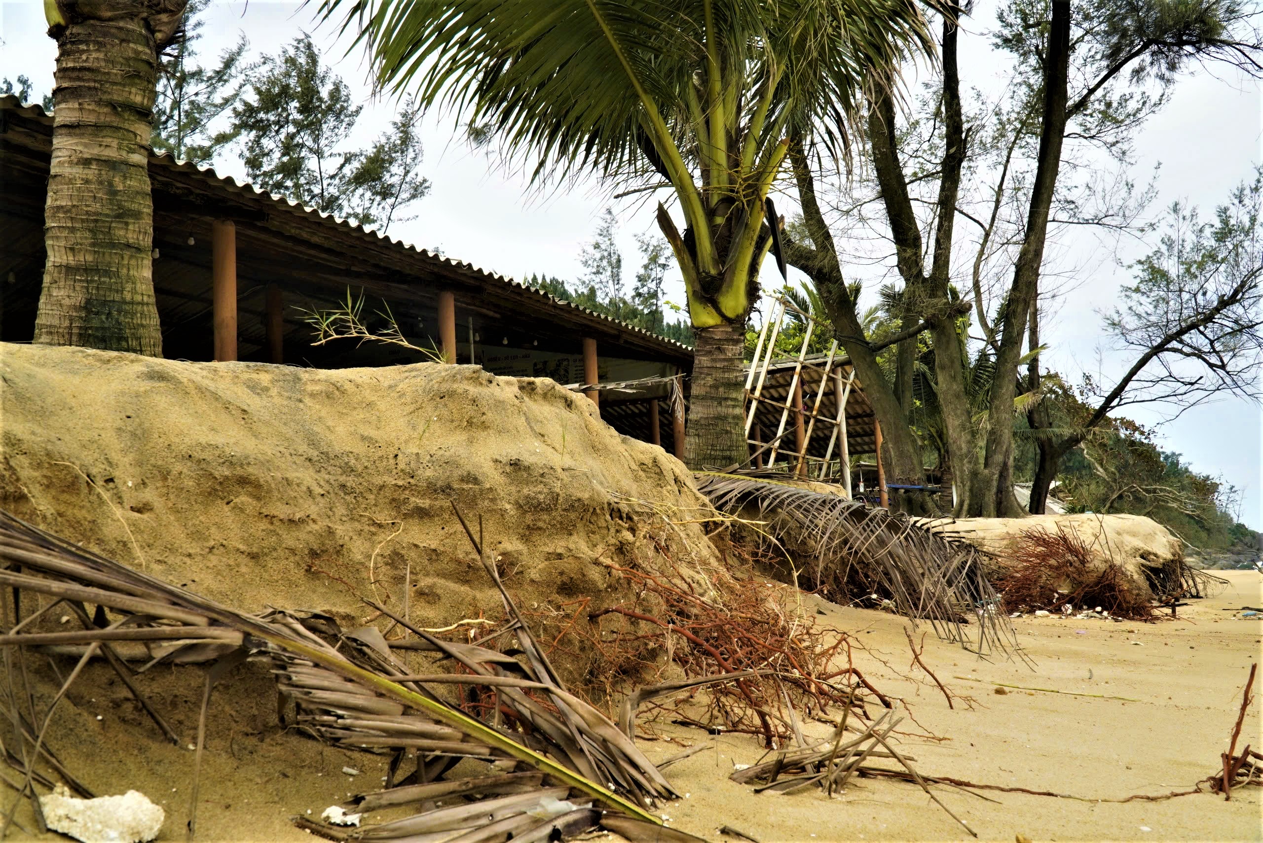 Bờ biển Hàm Rồng tan hoang sau mưa bão, TP Huế lên phương án xử lý khẩn cấp- Ảnh 4. Bờ biển Hàm Rồng tan hoang sau mưa bão, TP Huế lên phương án xử lý khẩn cấp- Ảnh 4.