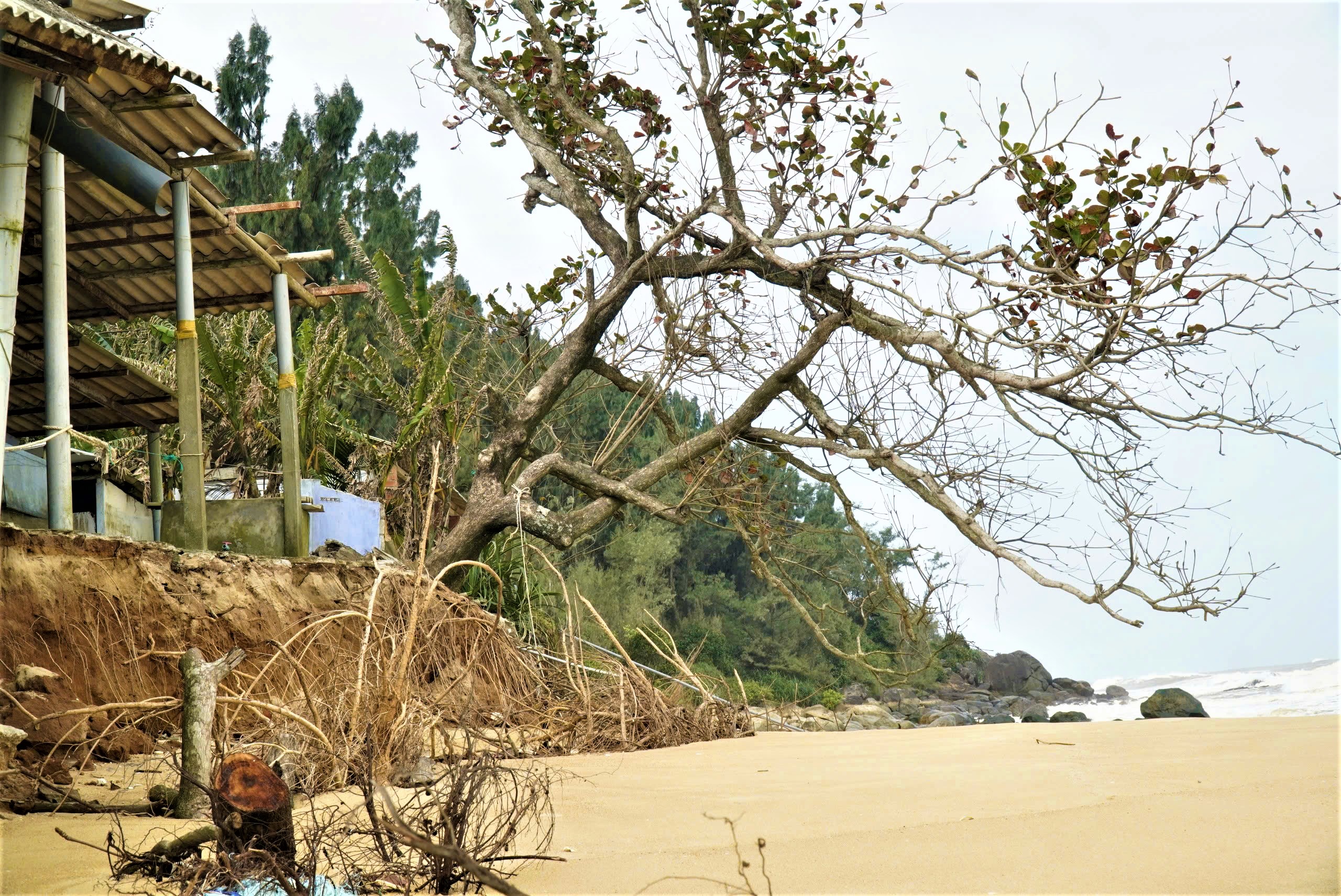 Bờ biển Hàm Rồng tan hoang sau mưa bão, TP Huế lên phương án xử lý khẩn cấp- Ảnh 5. Bờ biển Hàm Rồng tan hoang sau mưa bão, TP Huế lên phương án xử lý khẩn cấp- Ảnh 5.