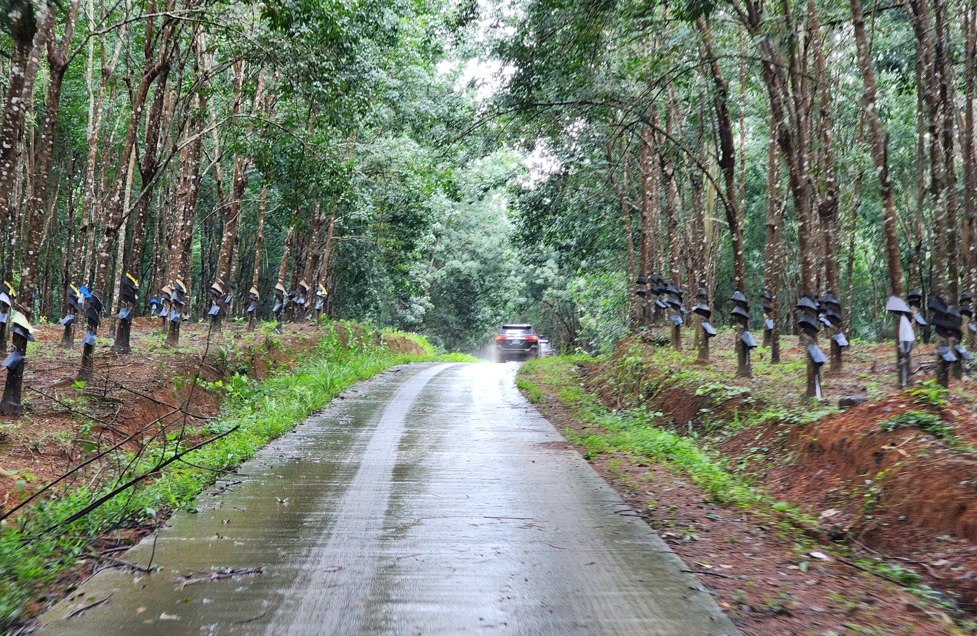 Quảng Ngãi có nhiều kiến nghị về ba dự án cao tốc sắp triển khai- Ảnh 3. Quảng Ngãi có nhiều kiến nghị về ba dự án cao tốc sắp triển khai- Ảnh 3.