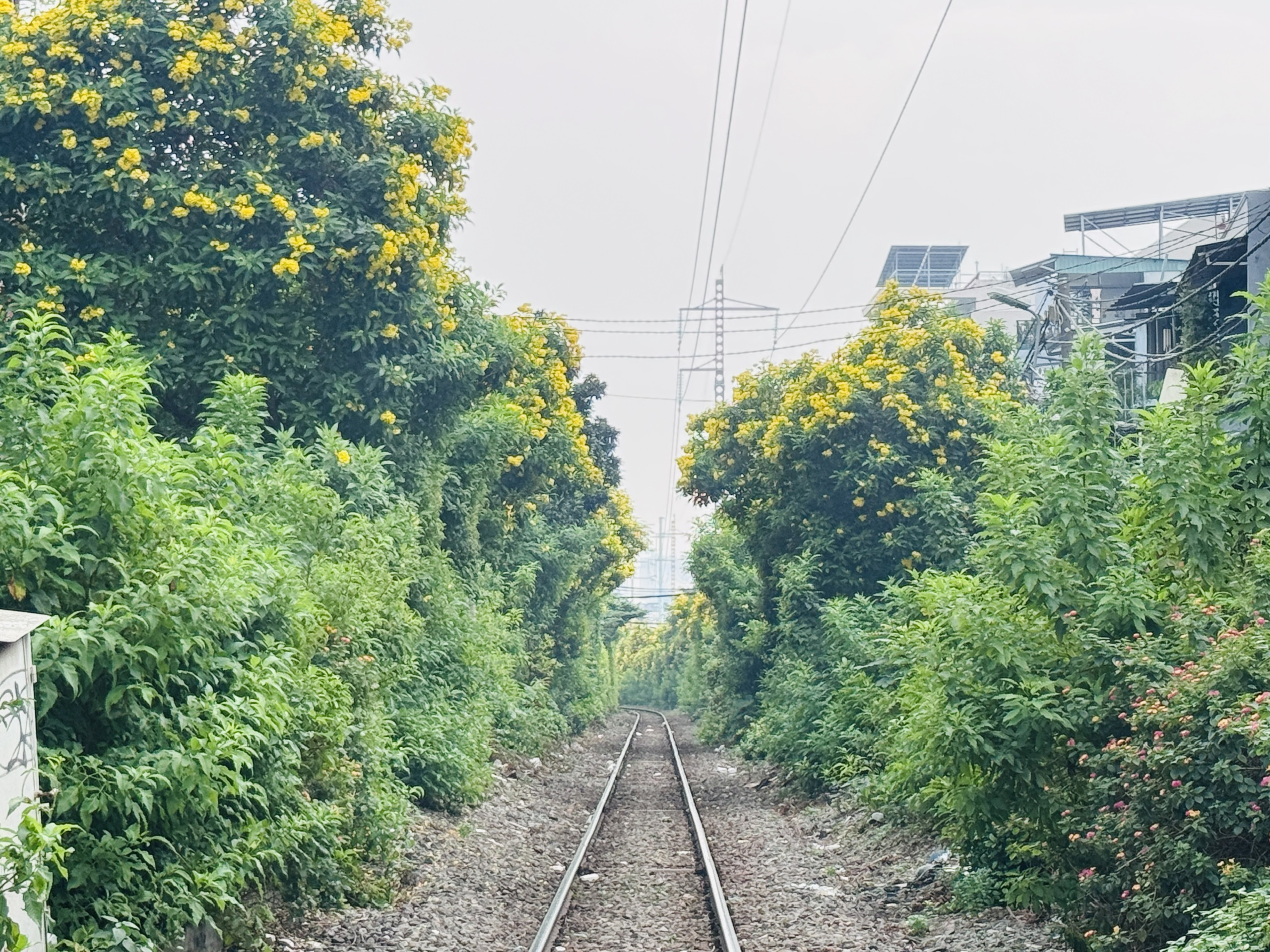 TP.HCM xử lý dứt điểm lối đi tự mở, bảo đảm an toàn đường sắt theo Nghị định 65/2018/NĐ-CP- Ảnh 3. TP.HCM xử lý dứt điểm lối đi tự mở, bảo đảm an toàn đường sắt theo Nghị định 65/2018/NĐ-CP- Ảnh 3.