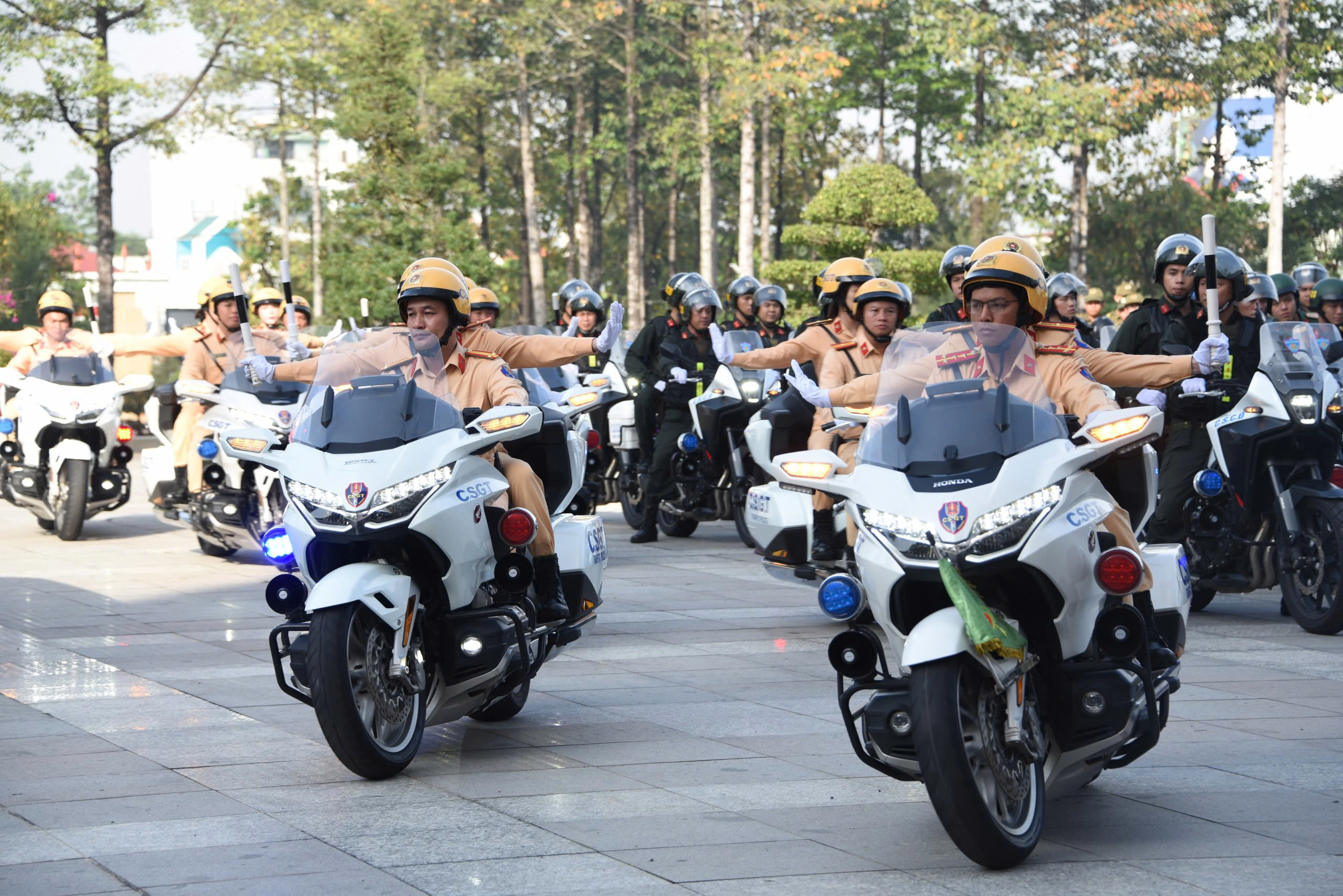 TP.HCM mở cao điểm trấn áp tội phạm, quyết tâm xây dựng đô thị an toàn, không ma túy- Ảnh 6.