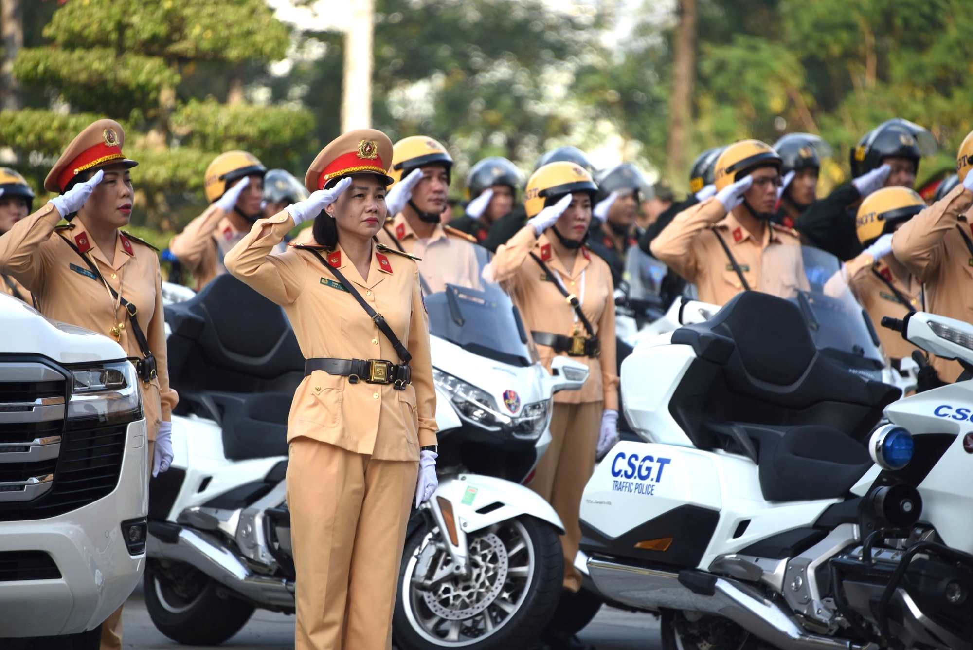 TP.HCM mở cao điểm trấn áp tội phạm, quyết tâm xây dựng đô thị an toàn, không ma túy- Ảnh 1.