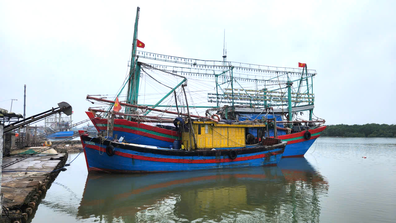 Nỗ lực gỡ cảnh báo IUU của Nghệ An, Hà Tĩnh- Ảnh 1.