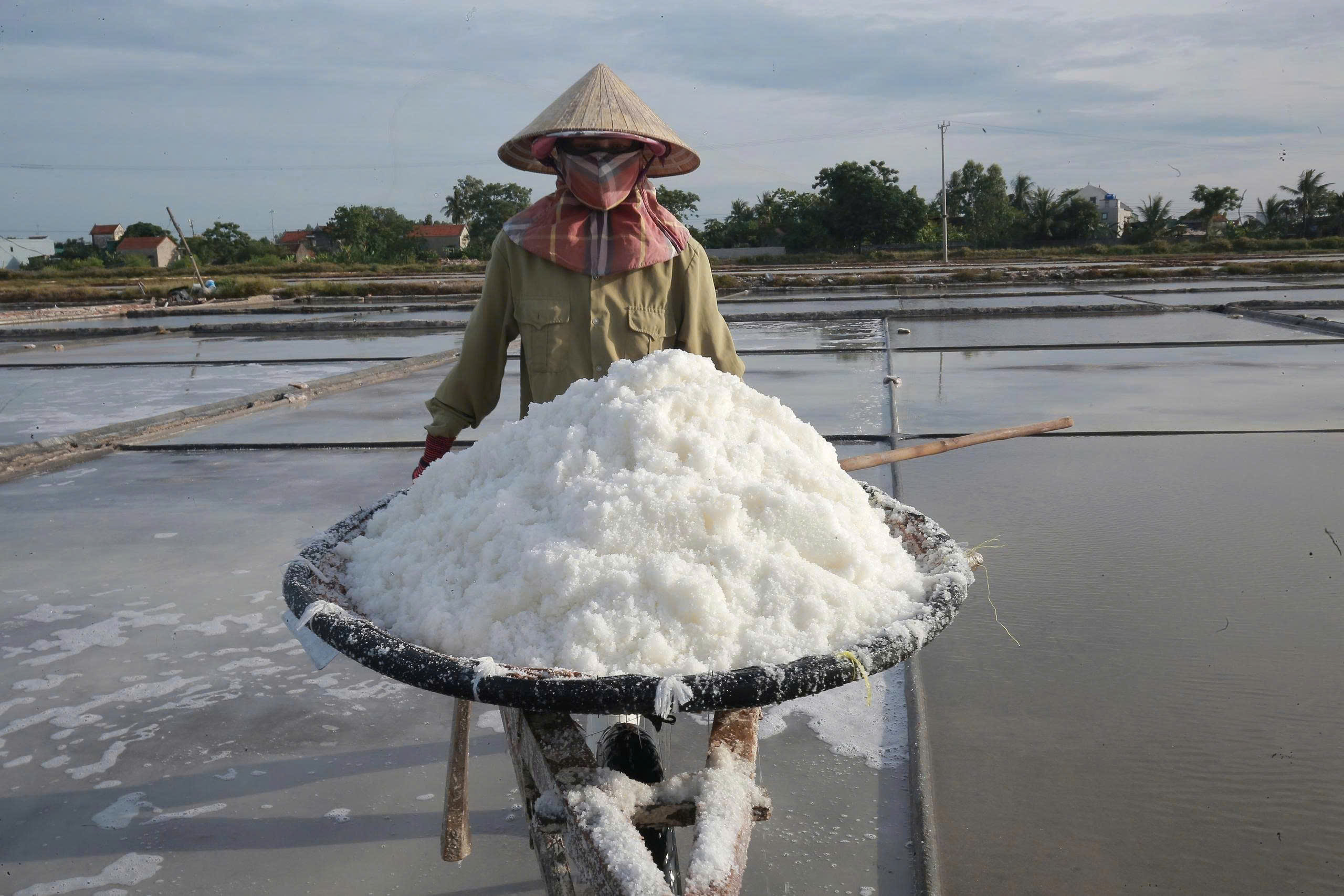 Hành trình biến những hạt muối thô thành "hạt ngọc mặn của trời"- Ảnh 2. Hành trình biến những hạt muối thô thành "hạt ngọc mặn của trời"- Ảnh 2.