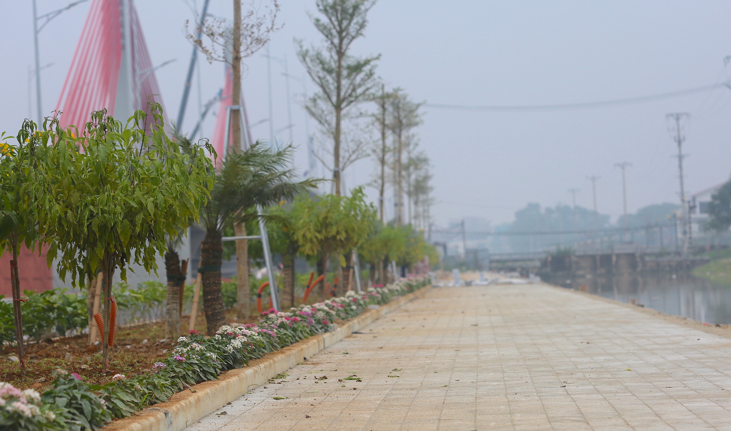 Cận cảnh cầu d&acirc;y văng vượt đường sắt ở Thanh H&oacute;a sắp th&ocirc;ng xe kỹ thuật- Ảnh 6.