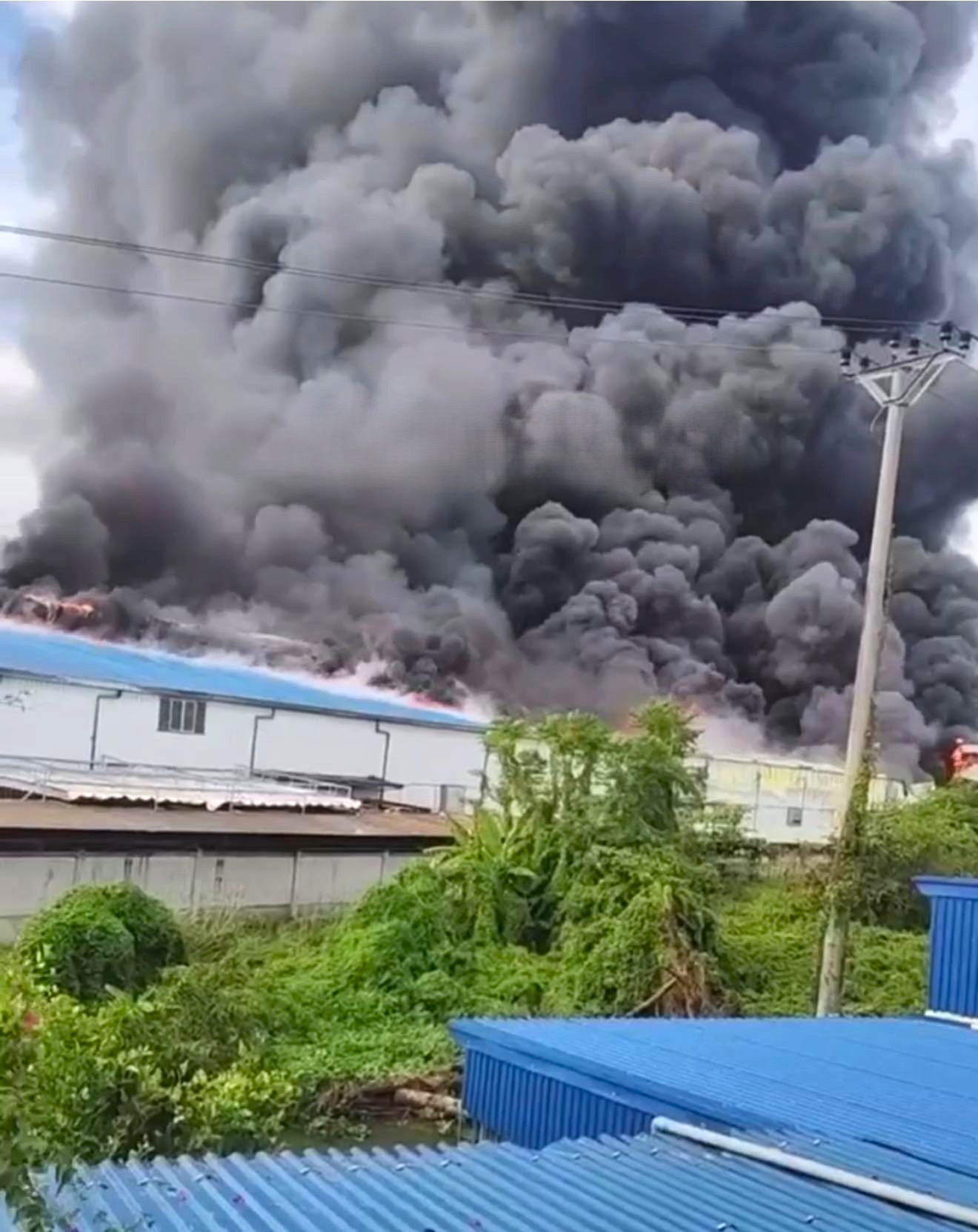 599764648_1269954651827650_6027268488568553491_n.jpg 599764648_1269954651827650_6027268488568553491_n.jpg