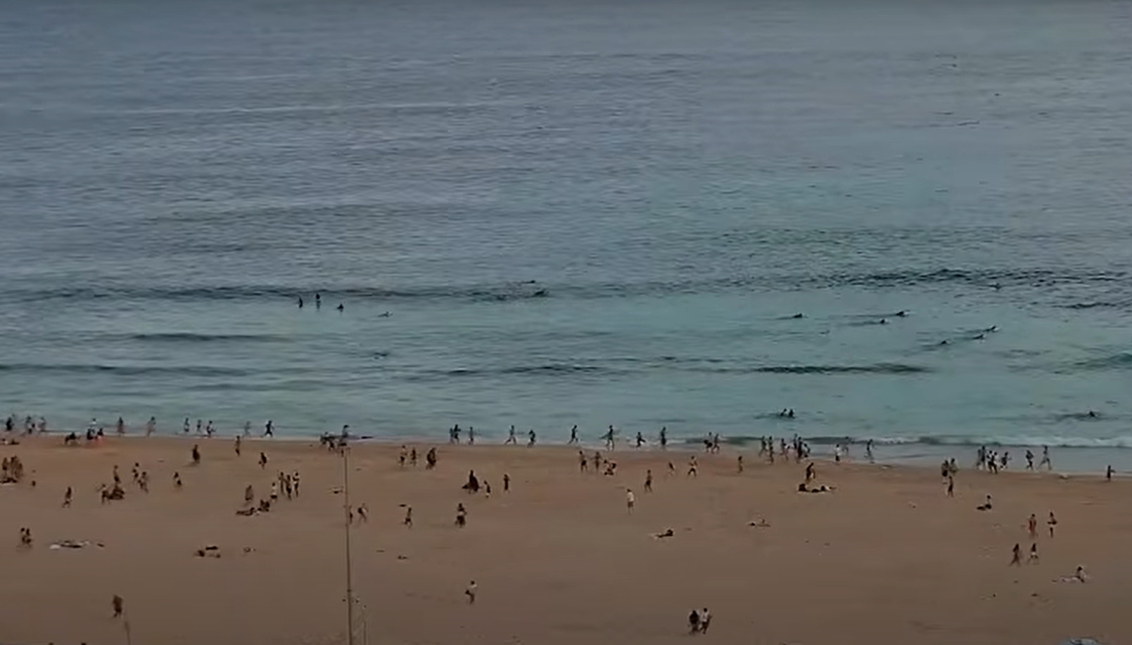 Cập nhật vụ xả súng tại bãi biển ở Australia: Phát hiện thiết bị nổ, Thủ tướng họp khẩn- Ảnh 1. Cập nhật vụ xả súng tại bãi biển ở Australia: Phát hiện thiết bị nổ, Thủ tướng họp khẩn- Ảnh 1.