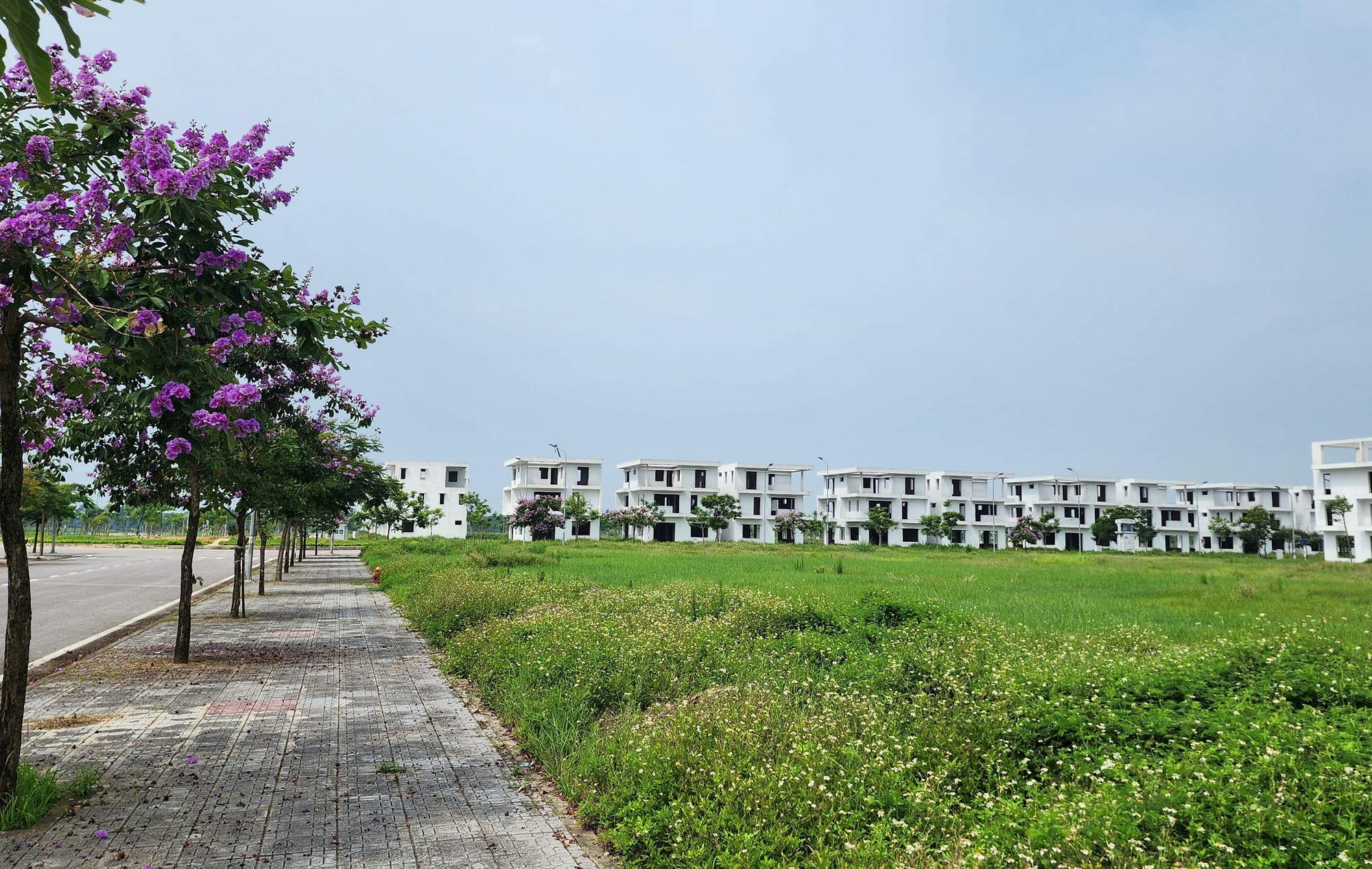 Ninh Bình: Sức bật thị trường bất động sản từ dự án đầy đủ tính pháp lý- Ảnh 2.