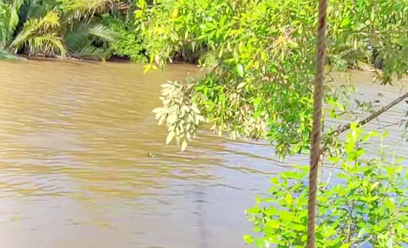 Đoạn sông xảy ra vụ việc vỏ lãi bị lật úp, khiến người đàn ông mất tích. Đoạn sông xảy ra vụ việc vỏ lãi bị lật úp, khiến người đàn ông mất tích.