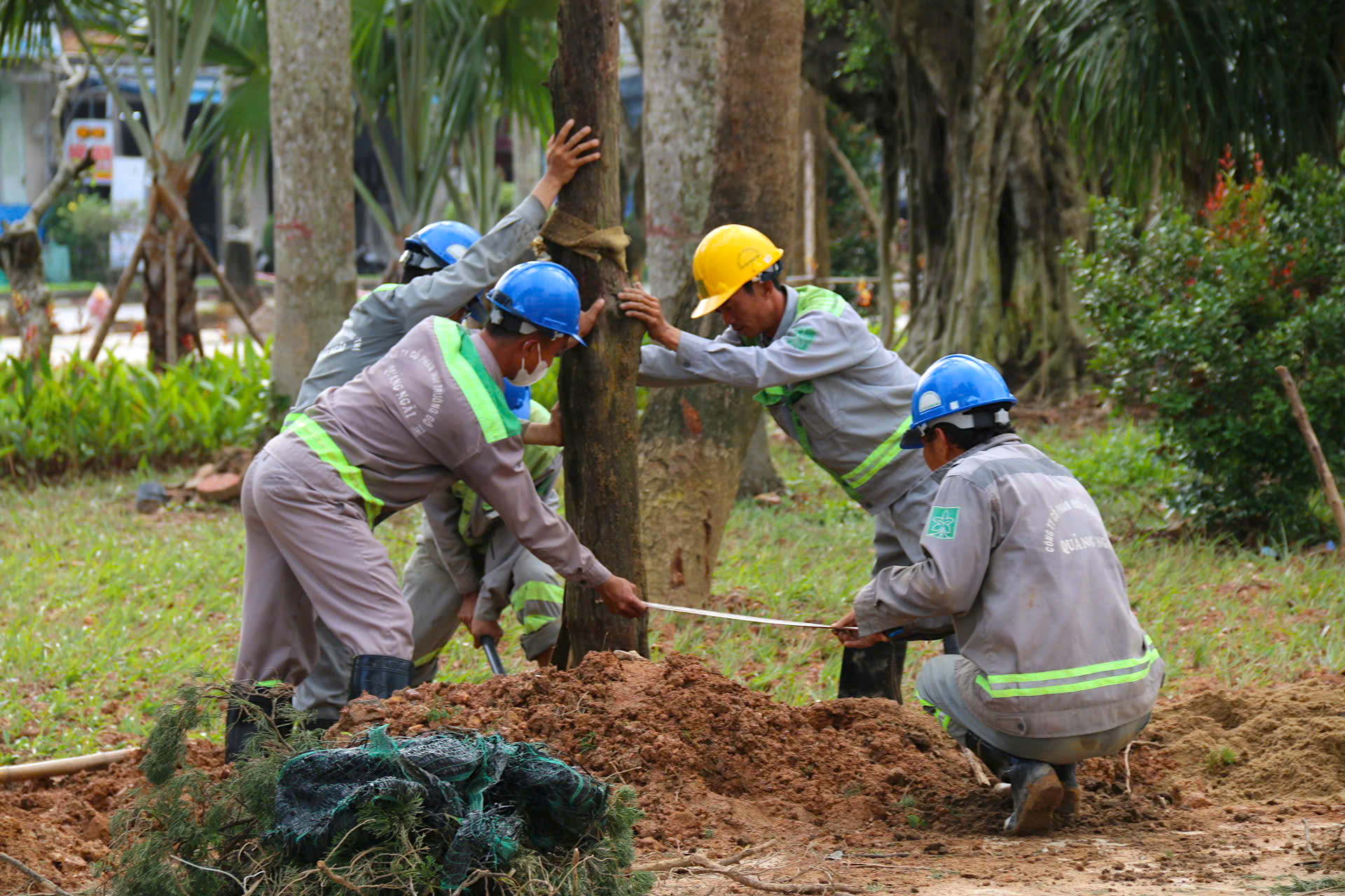 Diện mạo mới bờ Nam sông Trà Khúc đang dần thành hình- Ảnh 22.