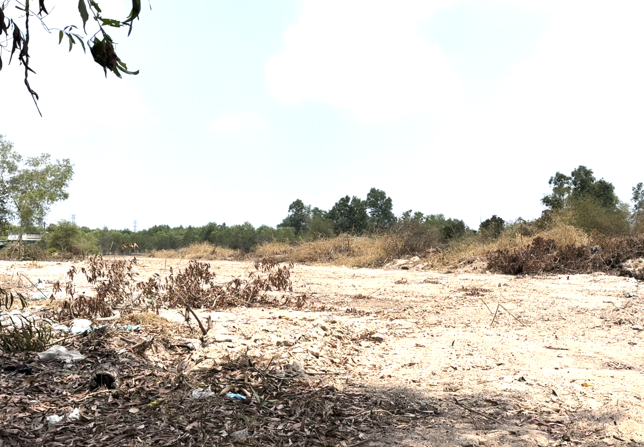 Nhìn lại hành trình từ ruộng trũng đến thời khắc thông xe kỹ thuật Vành đai 3 qua Đồng Nai- Ảnh 3. Nhìn lại hành trình từ ruộng trũng đến thời khắc thông xe kỹ thuật Vành đai 3 qua Đồng Nai- Ảnh 3.