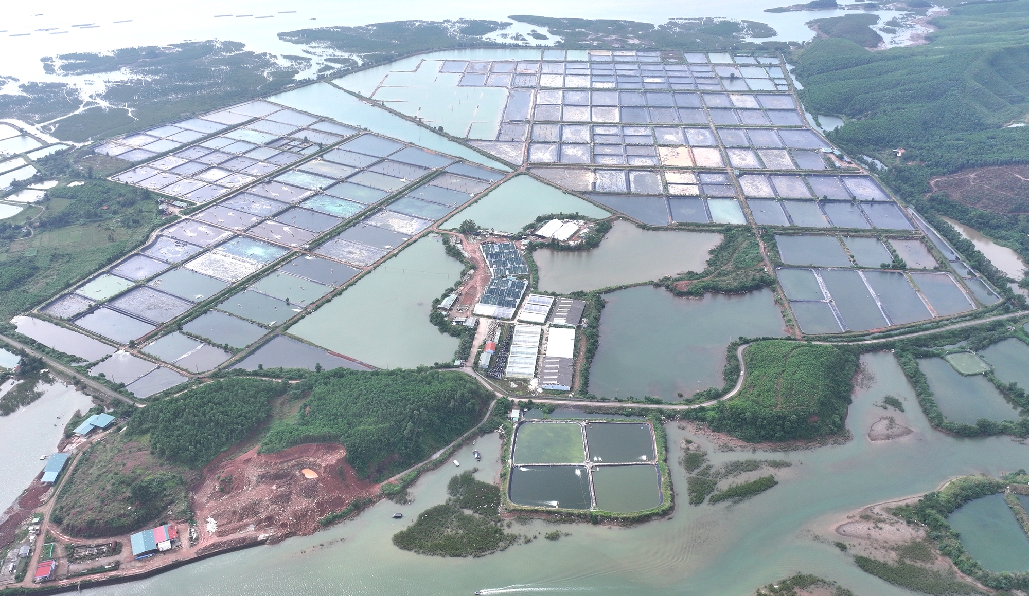 BIM Group khởi c&ocirc;ng 3 dự &aacute;n trọng điểm, g&oacute;p phần th&uacute;c đẩy ph&aacute;t triển Quảng Ninh- Ảnh 5.