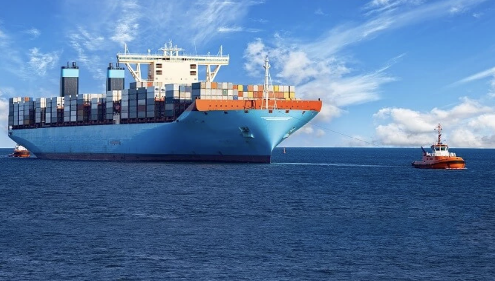 Siết quản l&yacute;, k&eacute;o giảm tỷ lệ t&agrave;u Việt bị lưu giữ ở cảng biển nước ngo&agrave;i- Ảnh 2.