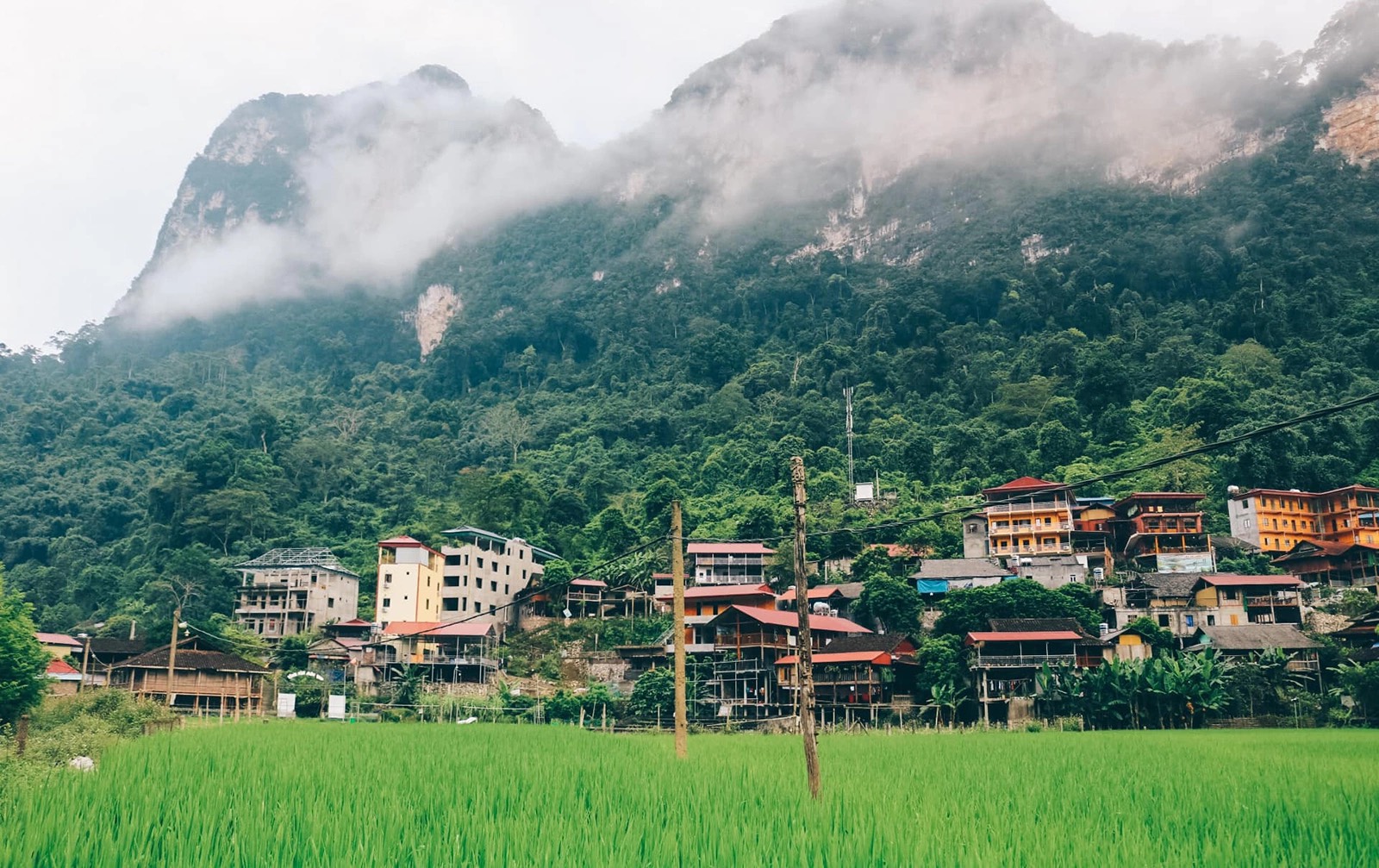 Ba Bể điểm đến xanh giữa đại ng&agrave;n Việt Bắc- Ảnh 3.