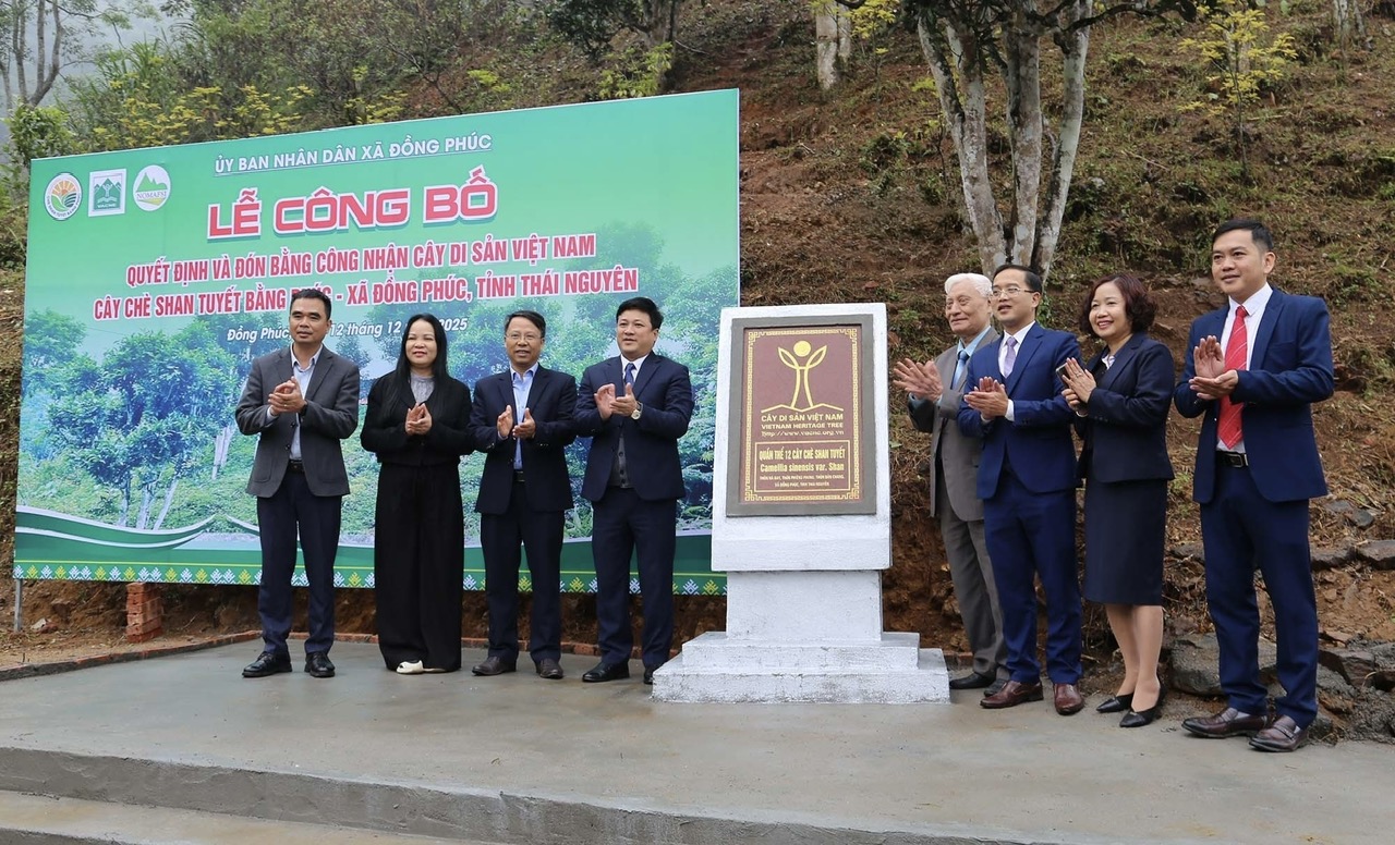 Đồng Ph&uacute;c mở hướng ph&aacute;t triển du lịch trải nghiệm giữa v&ugrave;ng l&otilde;i Ba Bể- Ảnh 4.