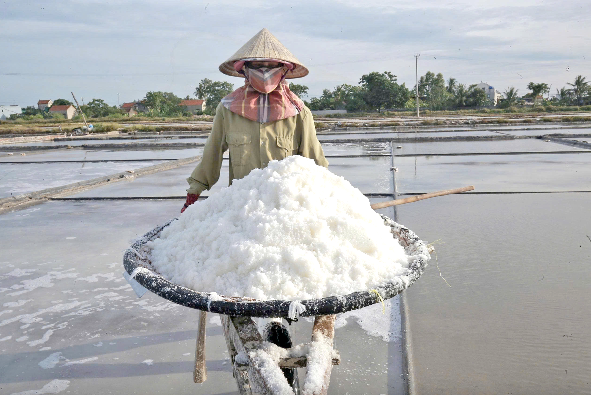 N&acirc;ng tầm gi&aacute; trị hạt muối Việt- Ảnh 1.