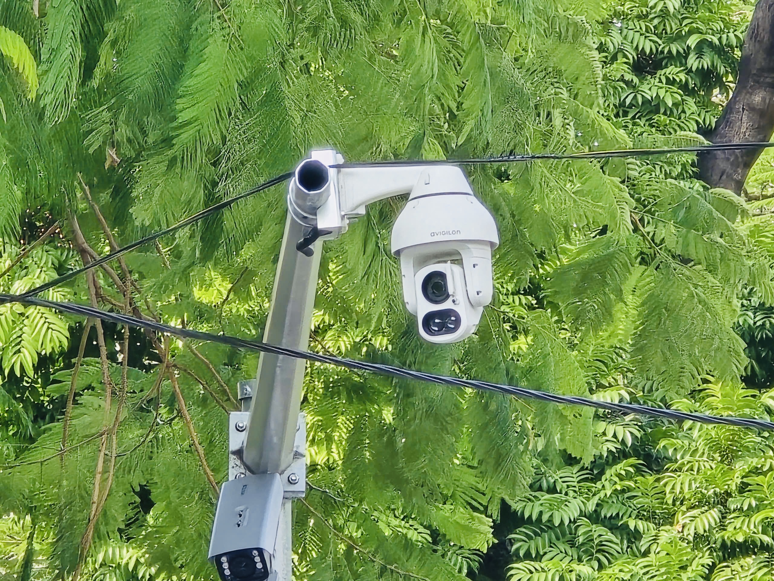 Hà Nội: Camera AI tạo “làn sóng xanh”, xe lưu thông thông suốt, dừng chờ đèn đỏ ngắn hơn- Ảnh 3. Hà Nội: Camera AI tạo “làn sóng xanh”, xe lưu thông thông suốt, dừng chờ đèn đỏ ngắn hơn- Ảnh 3.