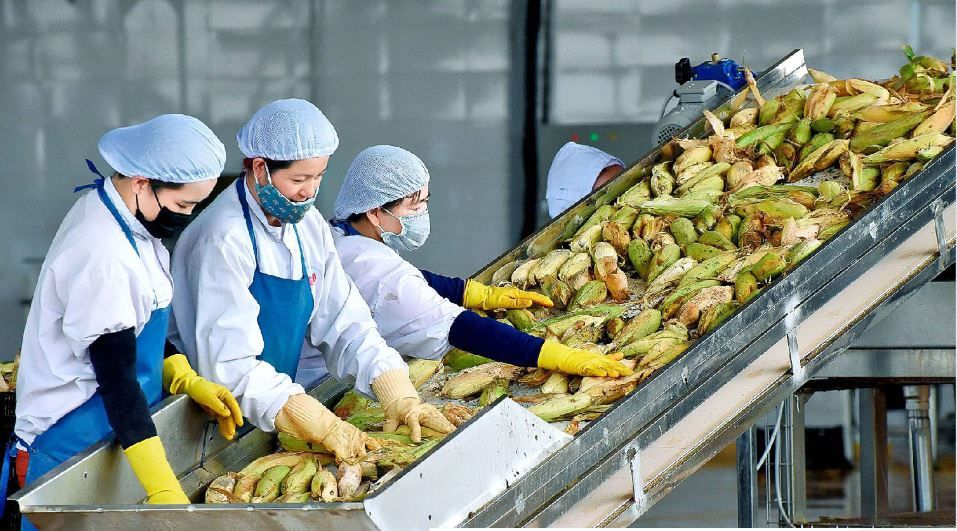 Từ Chương tr&igrave;nh 1322 đến sức bật doanh nghiệp T&acirc;y Nguy&ecirc;n- Ảnh 1.