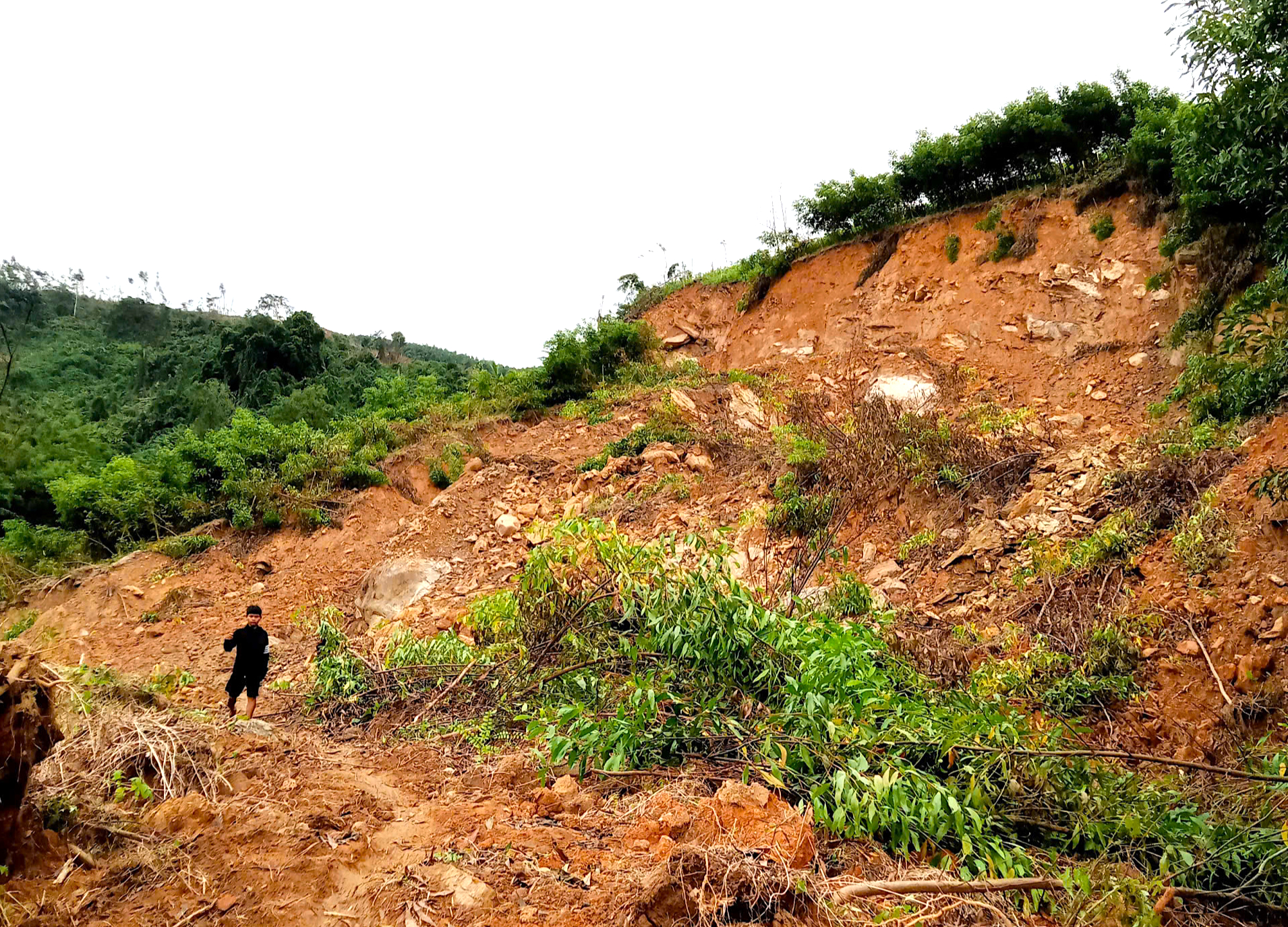 Quảng Ng&atilde;i giảm 50% ph&iacute; đo đạc, l&agrave;m &ldquo;sổ đỏ&rdquo; cho người d&acirc;n c&oacute; đất bị sạt lở- Ảnh 2.