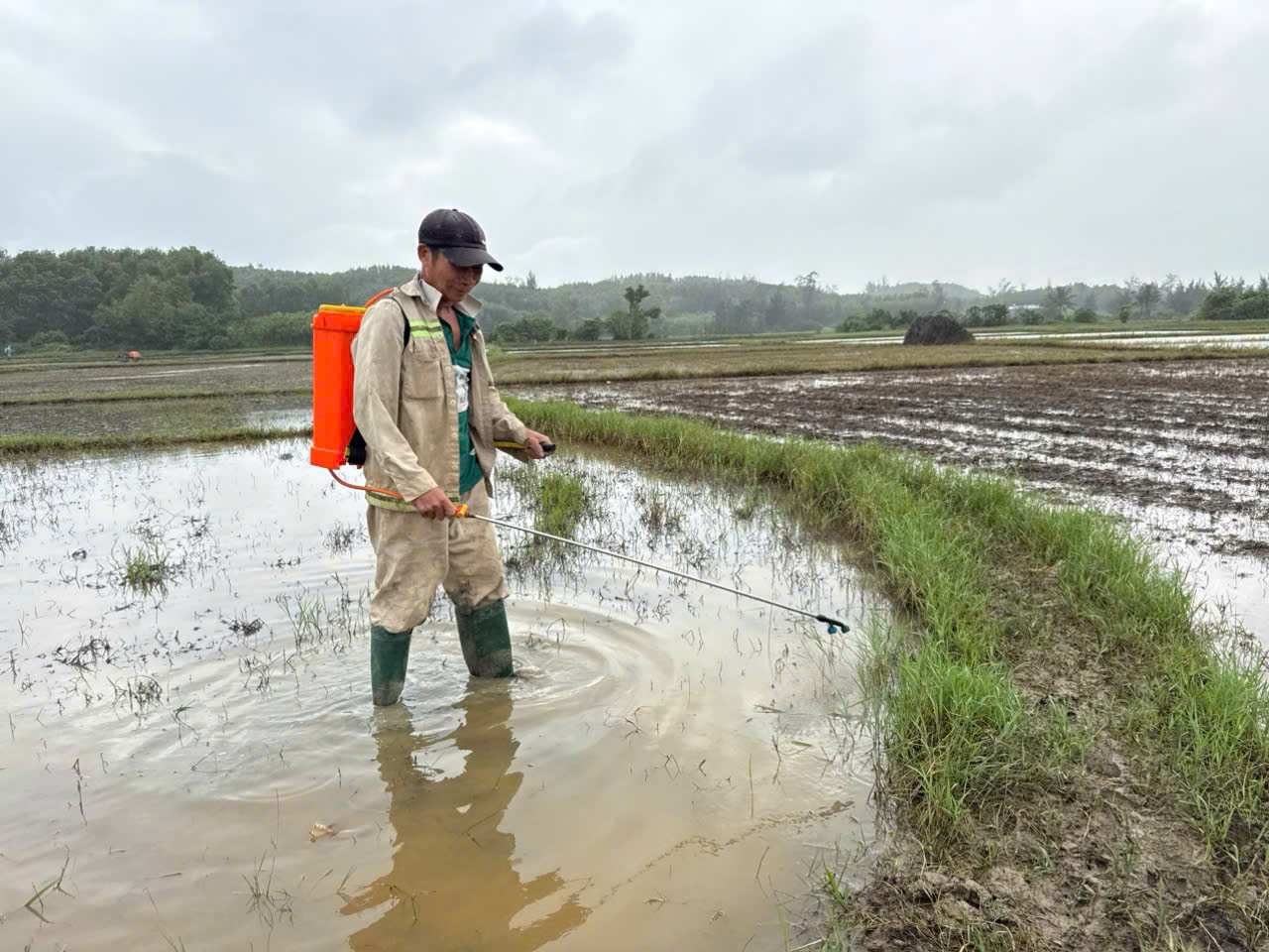 Cục Xăng dầu n&oacute;i g&igrave; về sự cố tr&agrave;n dầu ở KKT Dung Quất?- Ảnh 14.