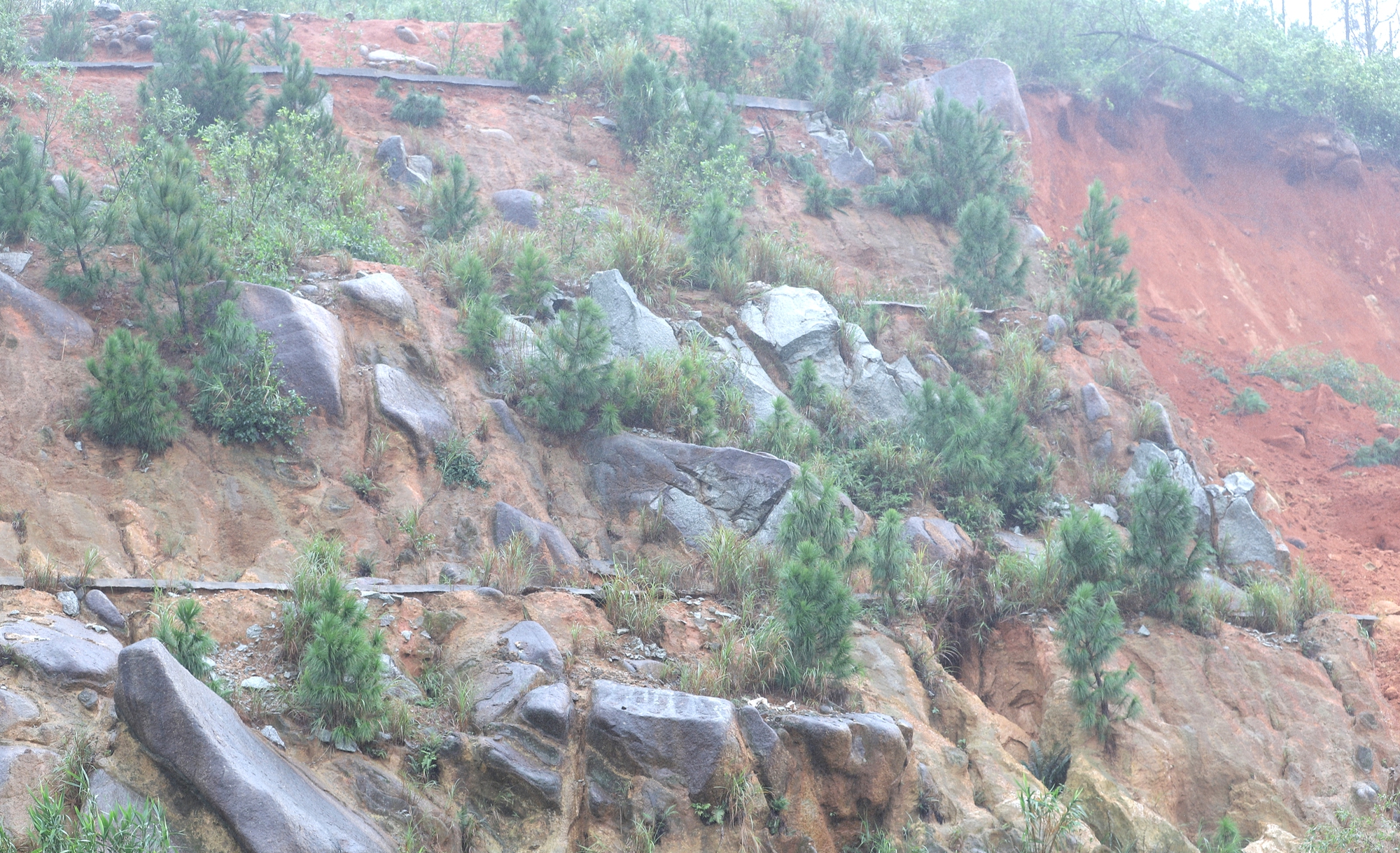 Hà Tĩnh đề xuất tích hợp tiêu chí thích ứng thiên tai trong xây dựng hạ tầng giao thông- Ảnh 2.