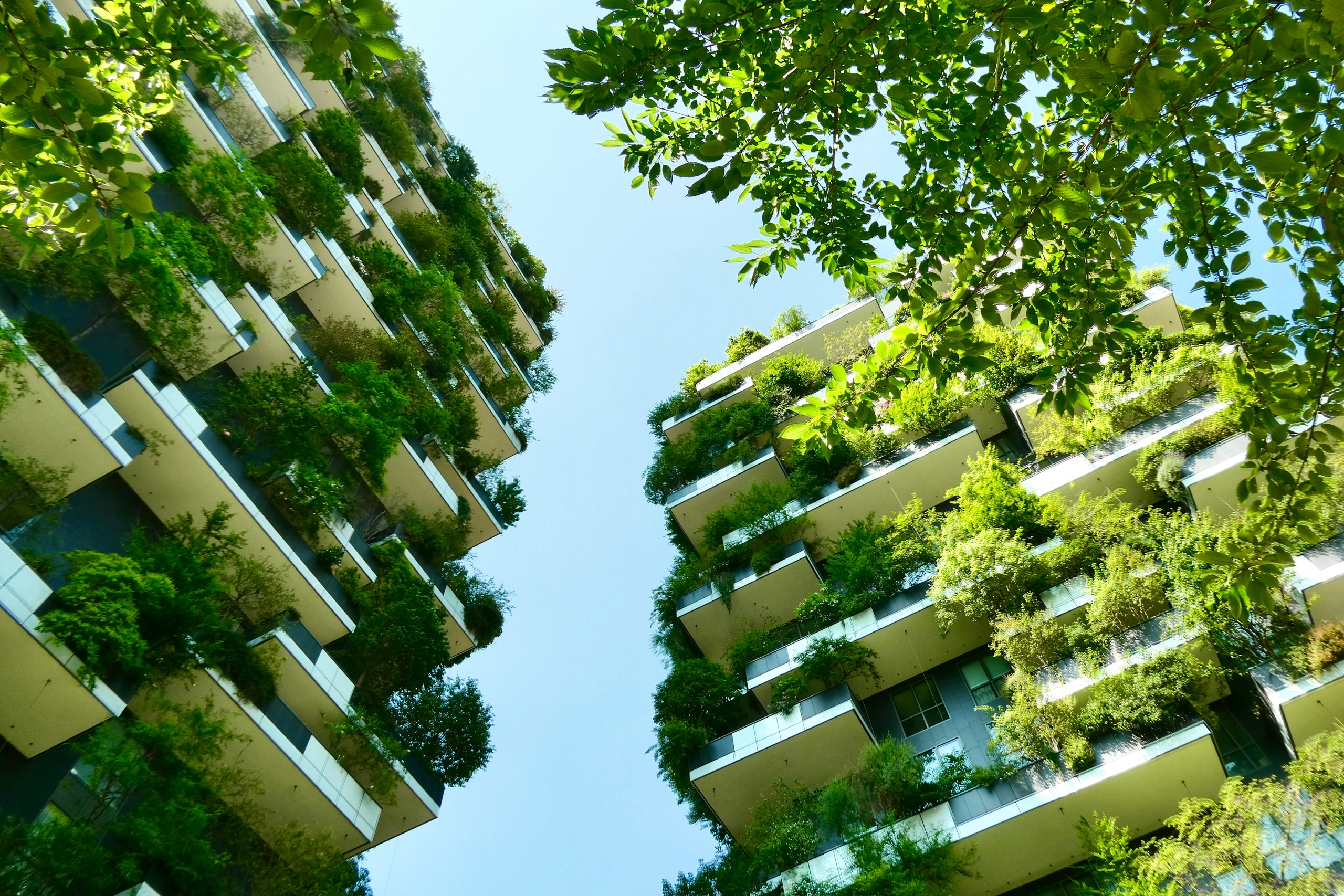 Sơn v&agrave; chất phủ bền vững: Đ&ograve;n bẩy tăng gi&aacute; trị c&ocirc;ng tr&igrave;nh- Ảnh 1.