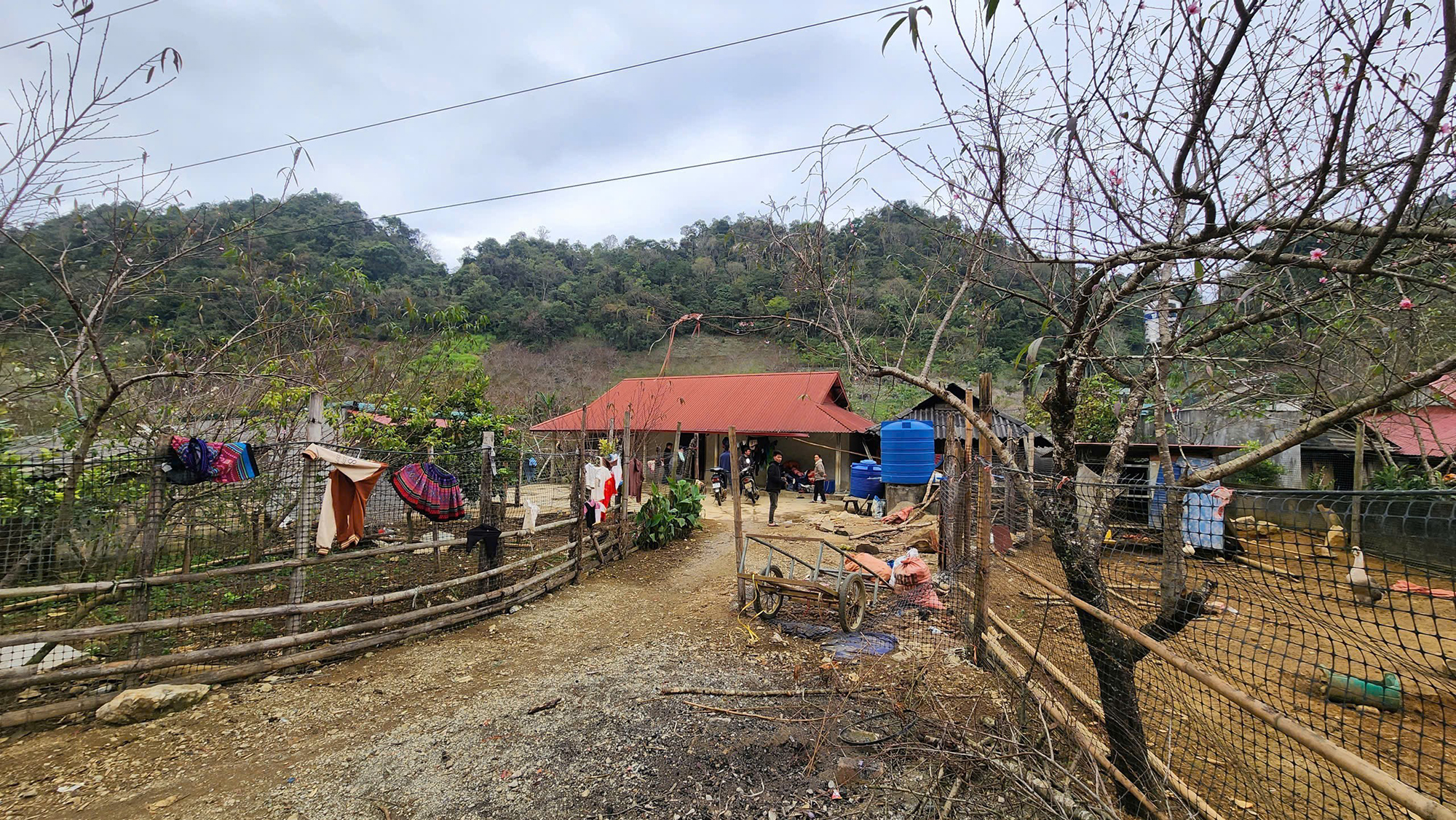 Bố mất v&igrave; tai nạn, con thơ đứt g&aacute;nh học h&agrave;nh- Ảnh 2.