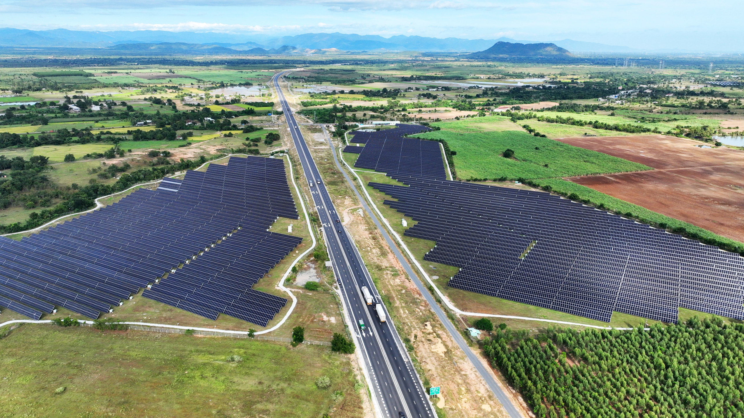 TEDI v&agrave; 4 gi&aacute; trị cốt l&otilde;i h&igrave;nh th&agrave;nh văn ho&aacute; doanh nghiệp- Ảnh 2.