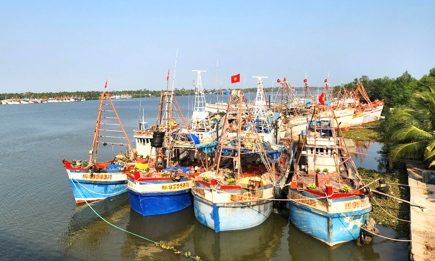 An Giang quyết liệt xử l&yacute; t&agrave;u c&aacute; khai th&aacute;c thủy sản bất hợp ph&aacute;p- Ảnh 1.