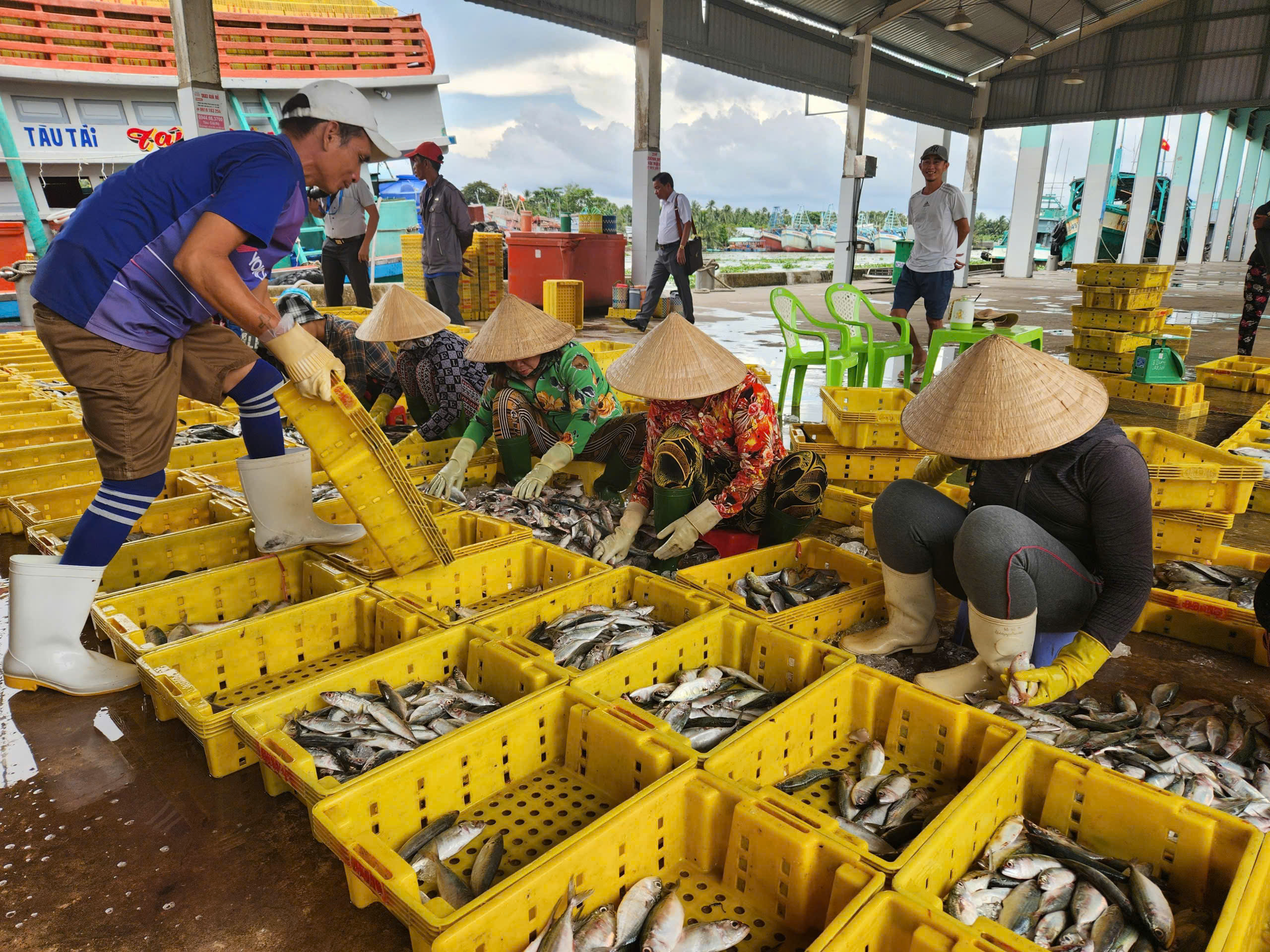 An Giang quyết liệt xử l&yacute; t&agrave;u c&aacute; khai th&aacute;c thủy sản bất hợp ph&aacute;p- Ảnh 2.