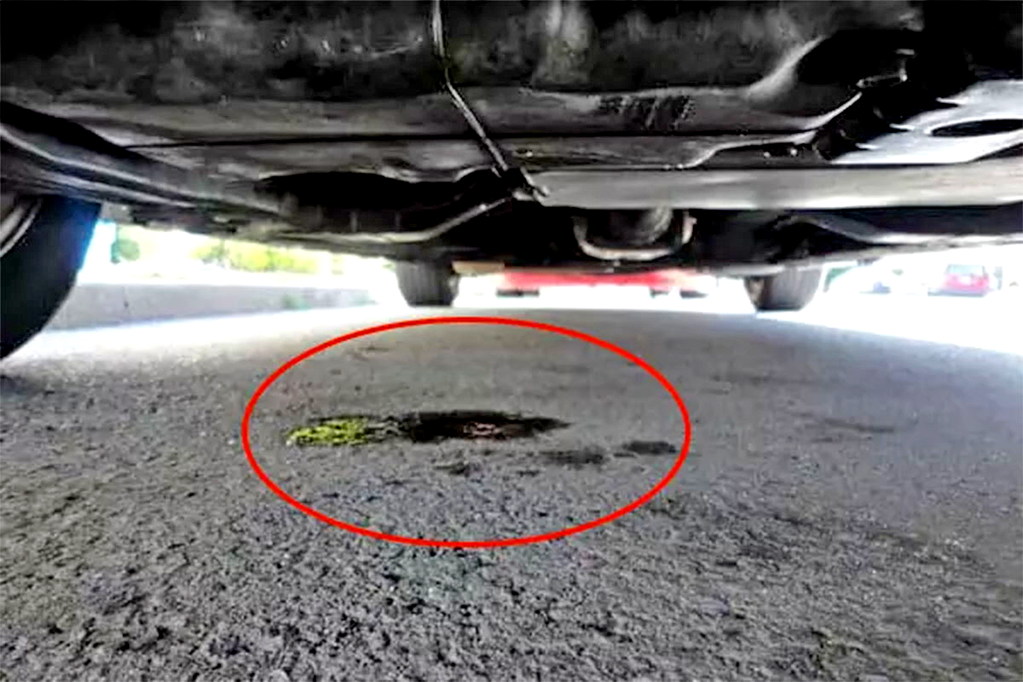 Ô tô bị rò dầu có thể làm bó máy không?- Ảnh 1.